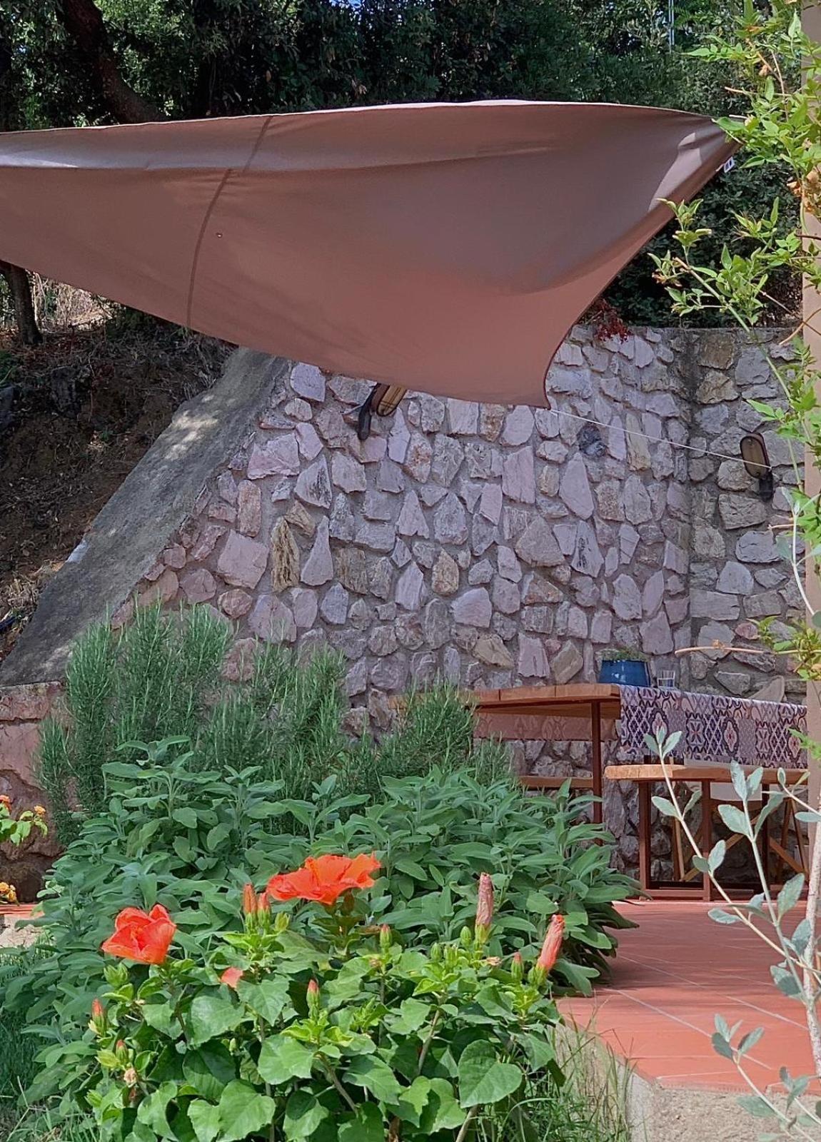 La Mandorla Salata photo 3