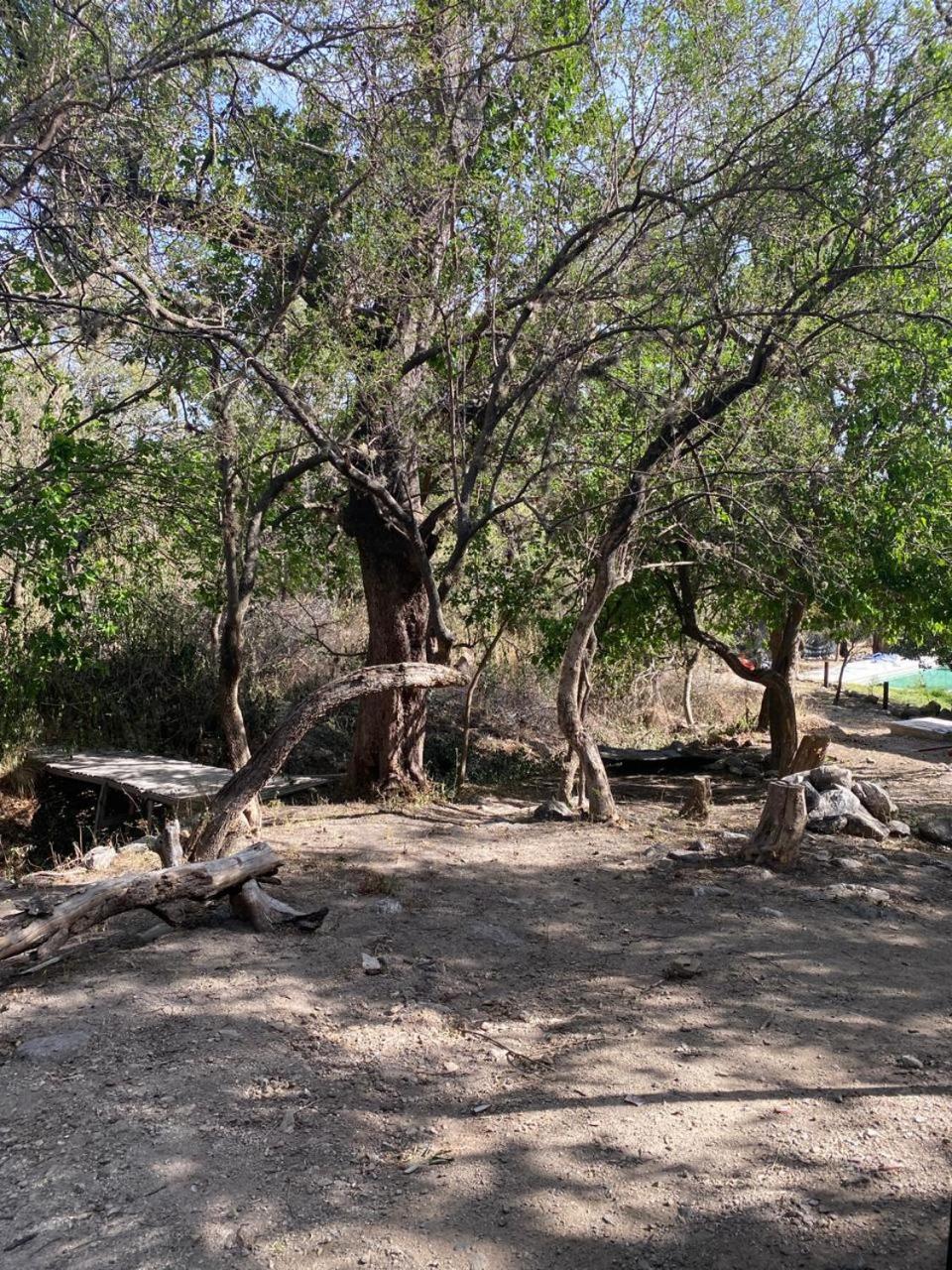 other