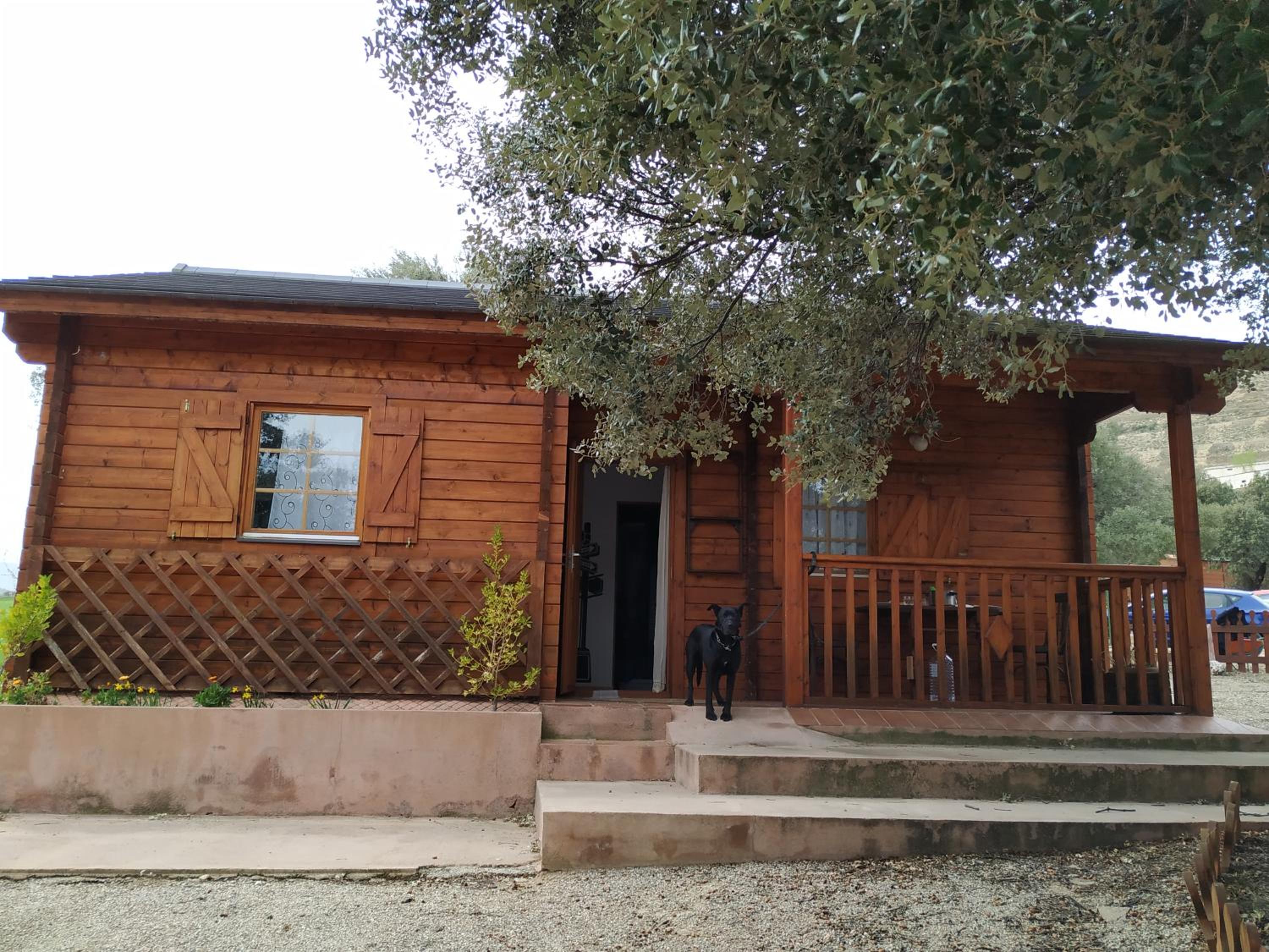 Photo 8