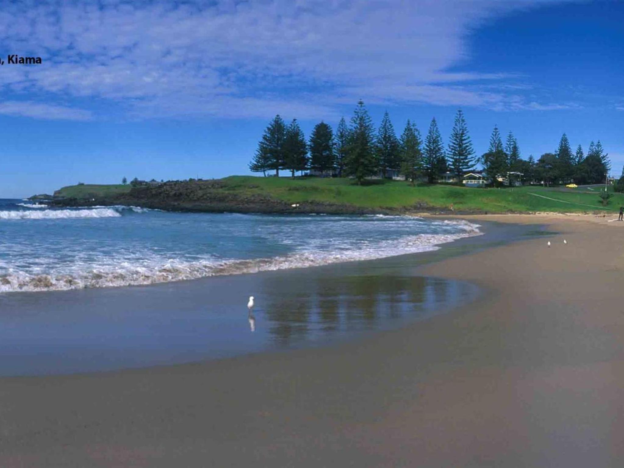Blue Waves Kiama