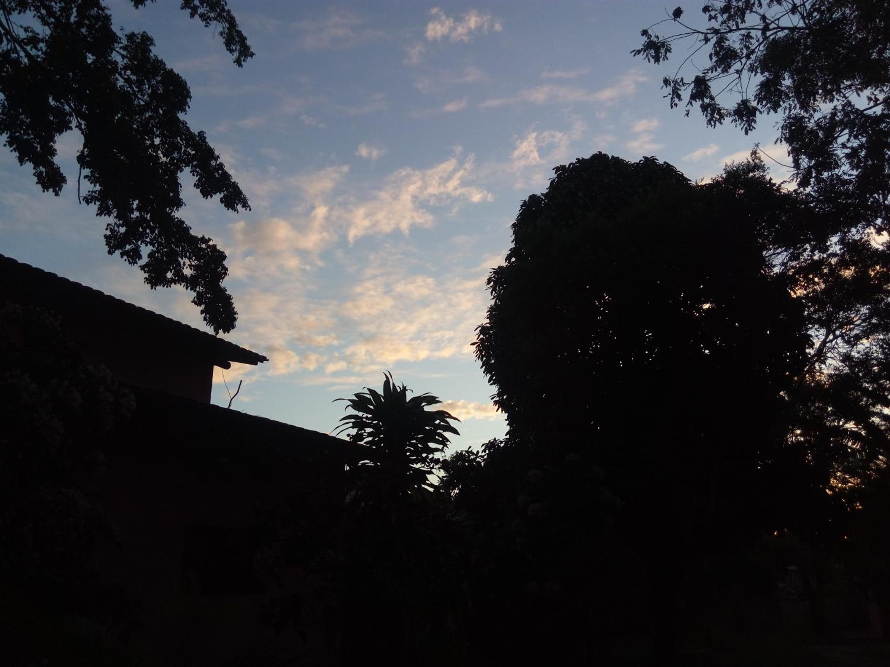Photo 33