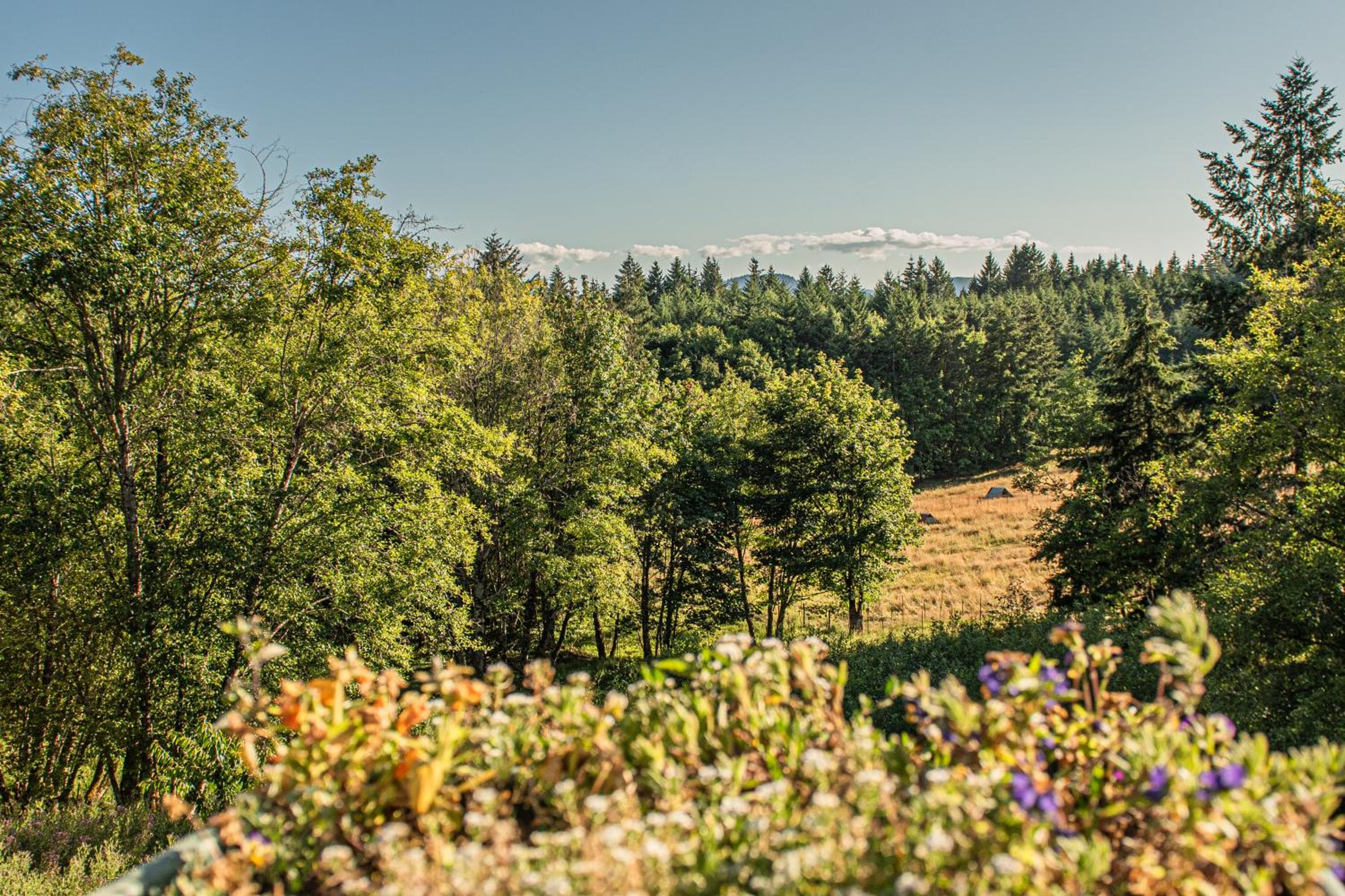 Healing ponds Farm view 3