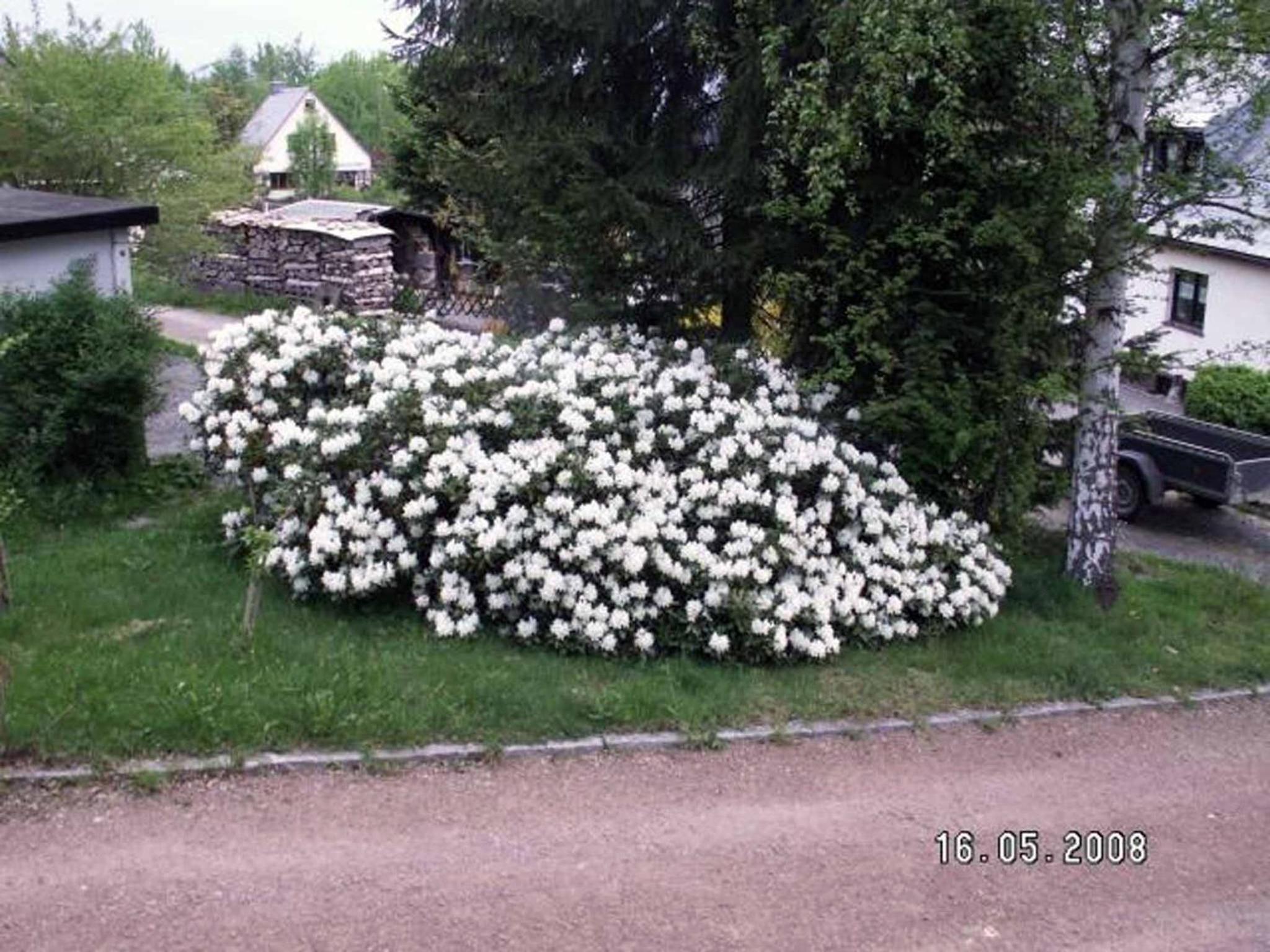 Ferienhaus Ferien am Waldrand