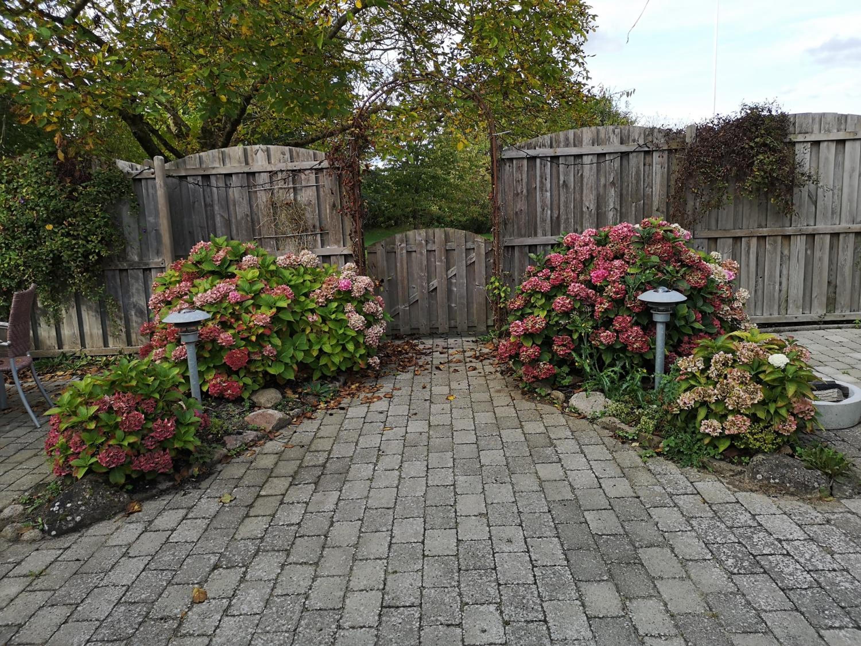 Photo 34