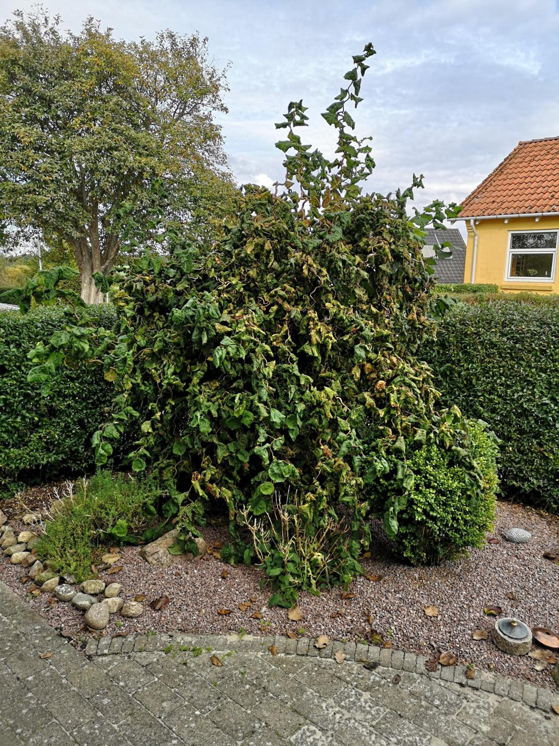 Photo 22