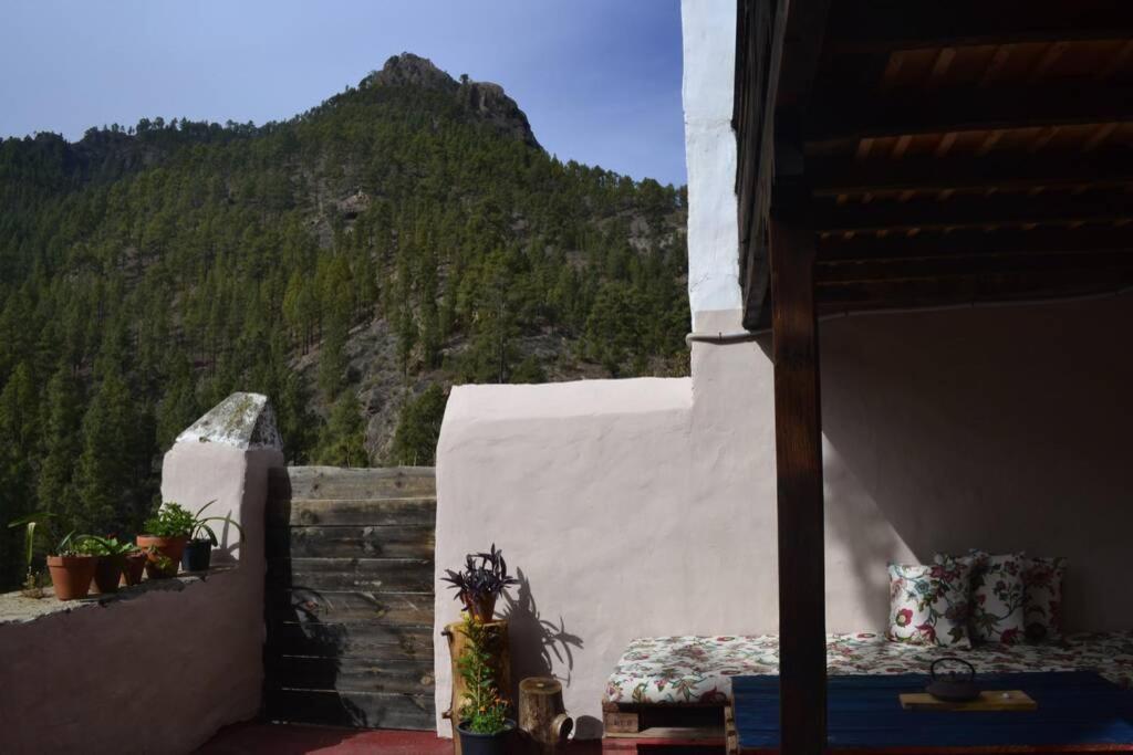 Casa Rural Lomito del Pino view 3