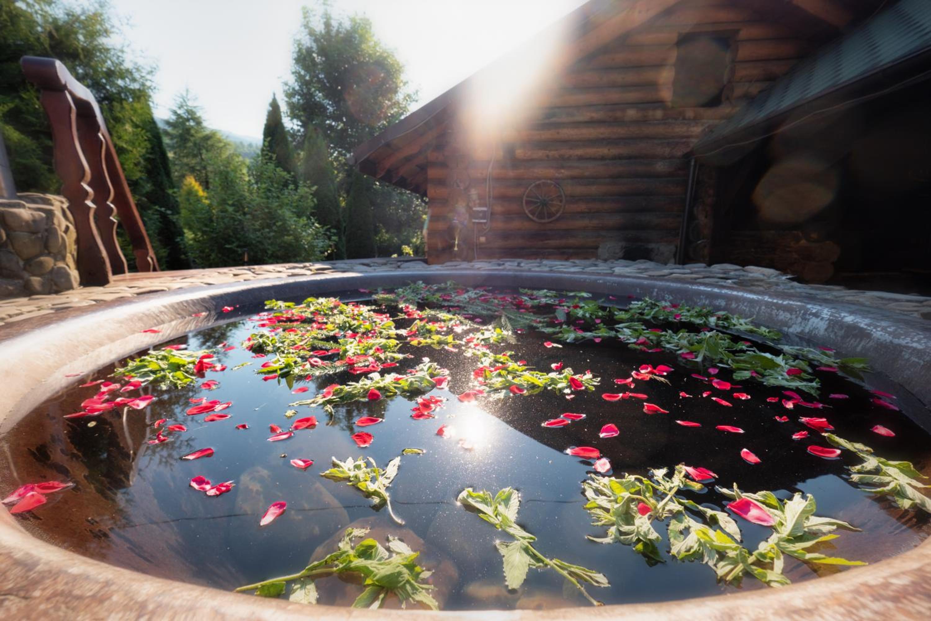 Photo 51