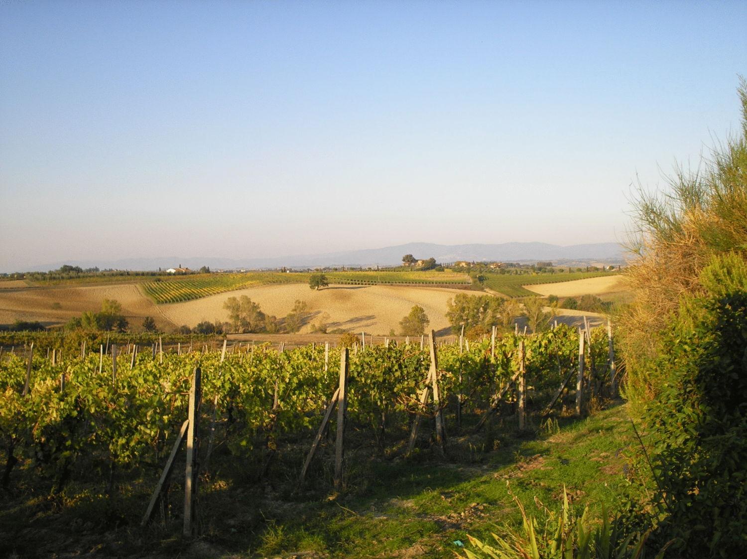 Tenuta Santagnese