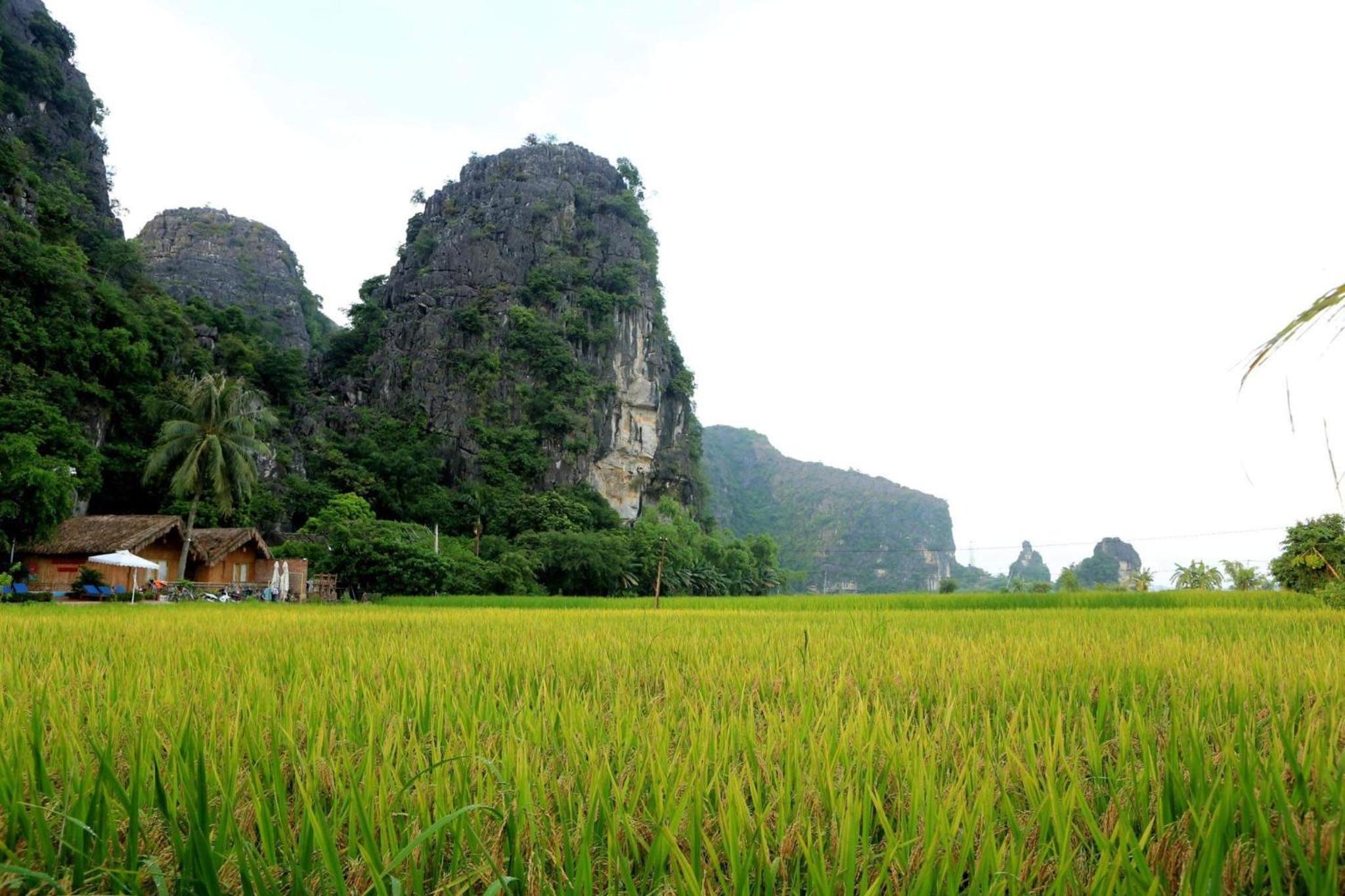 Tam Coc Eco Field Nest By ANMS GROUP