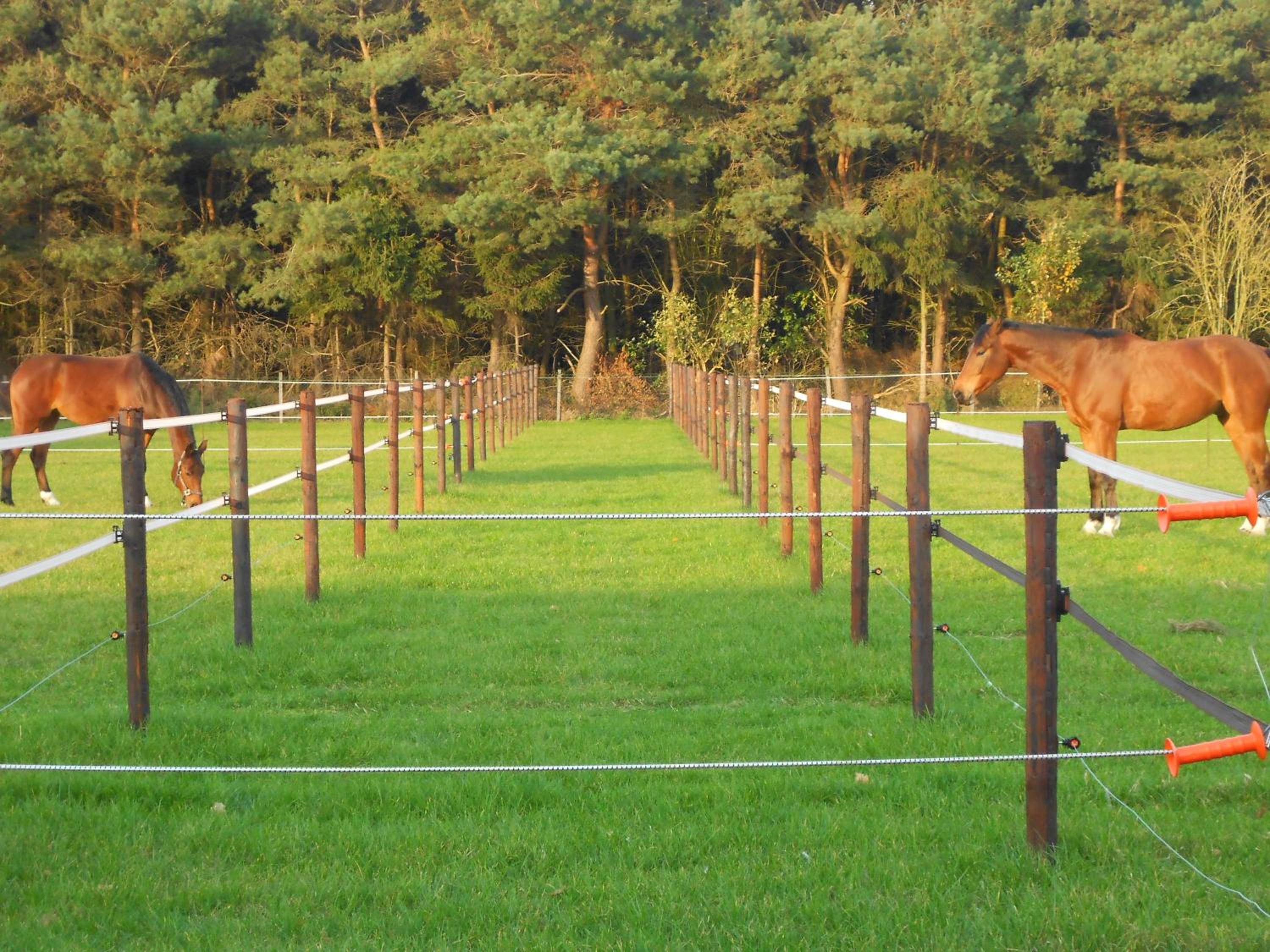 LOGIES Tuin der Zinnen