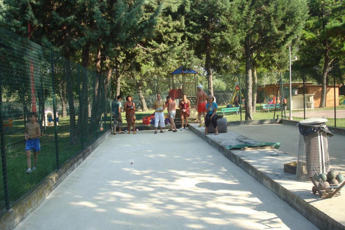Photo 42
