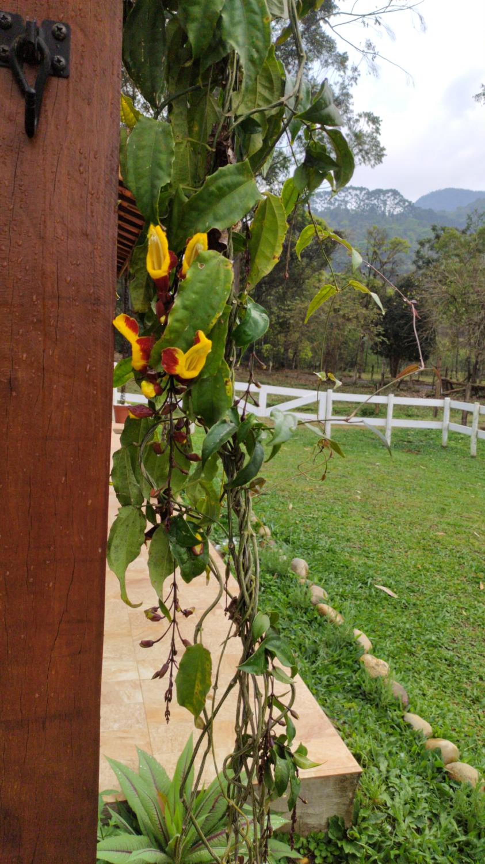 Encanto da Pedra