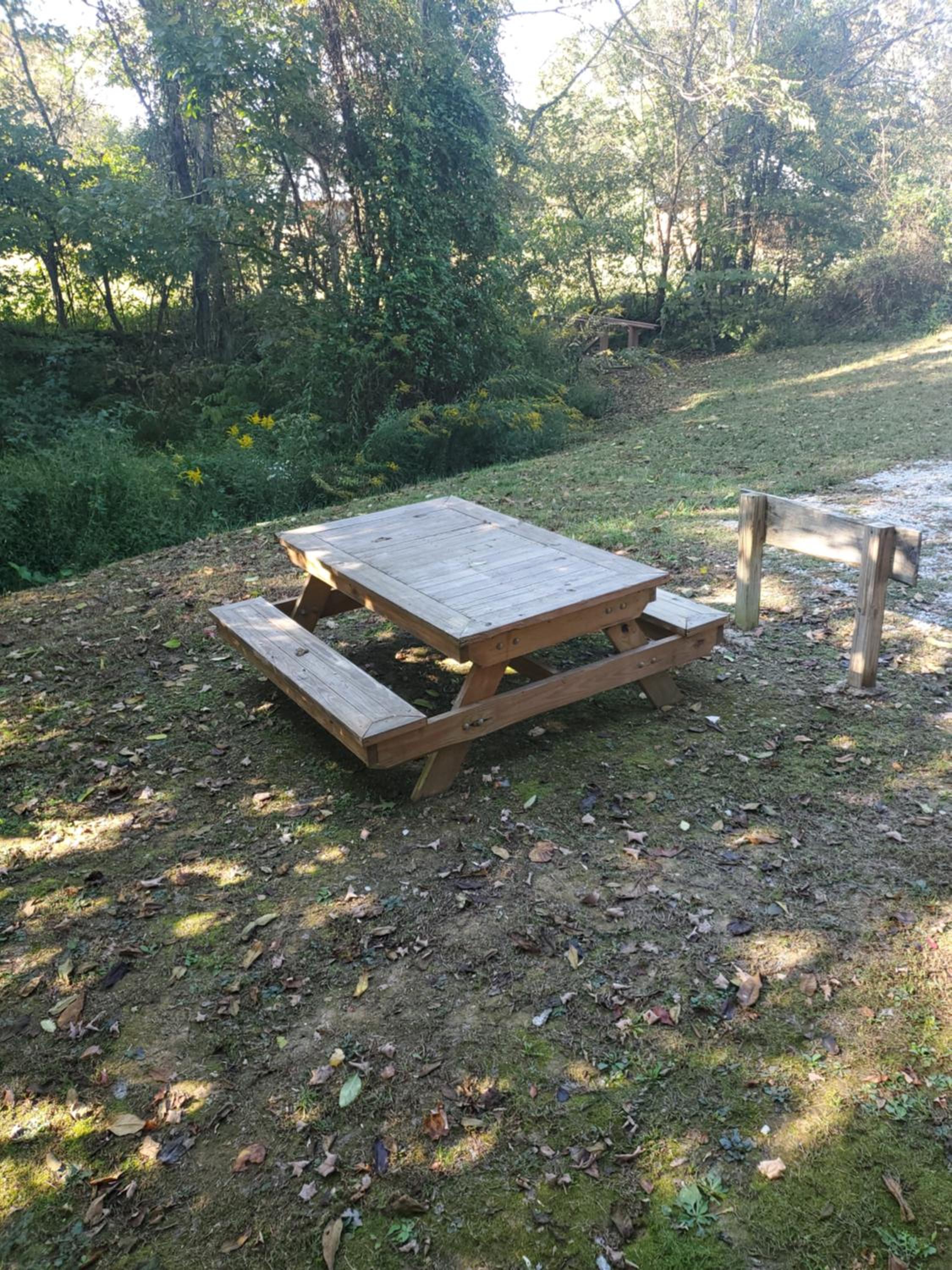 Photo 13