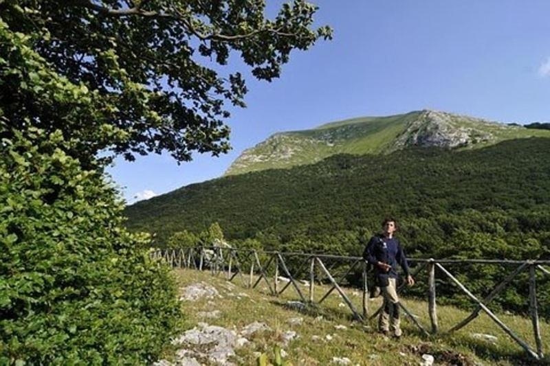 Appartamento il Grillo view 5