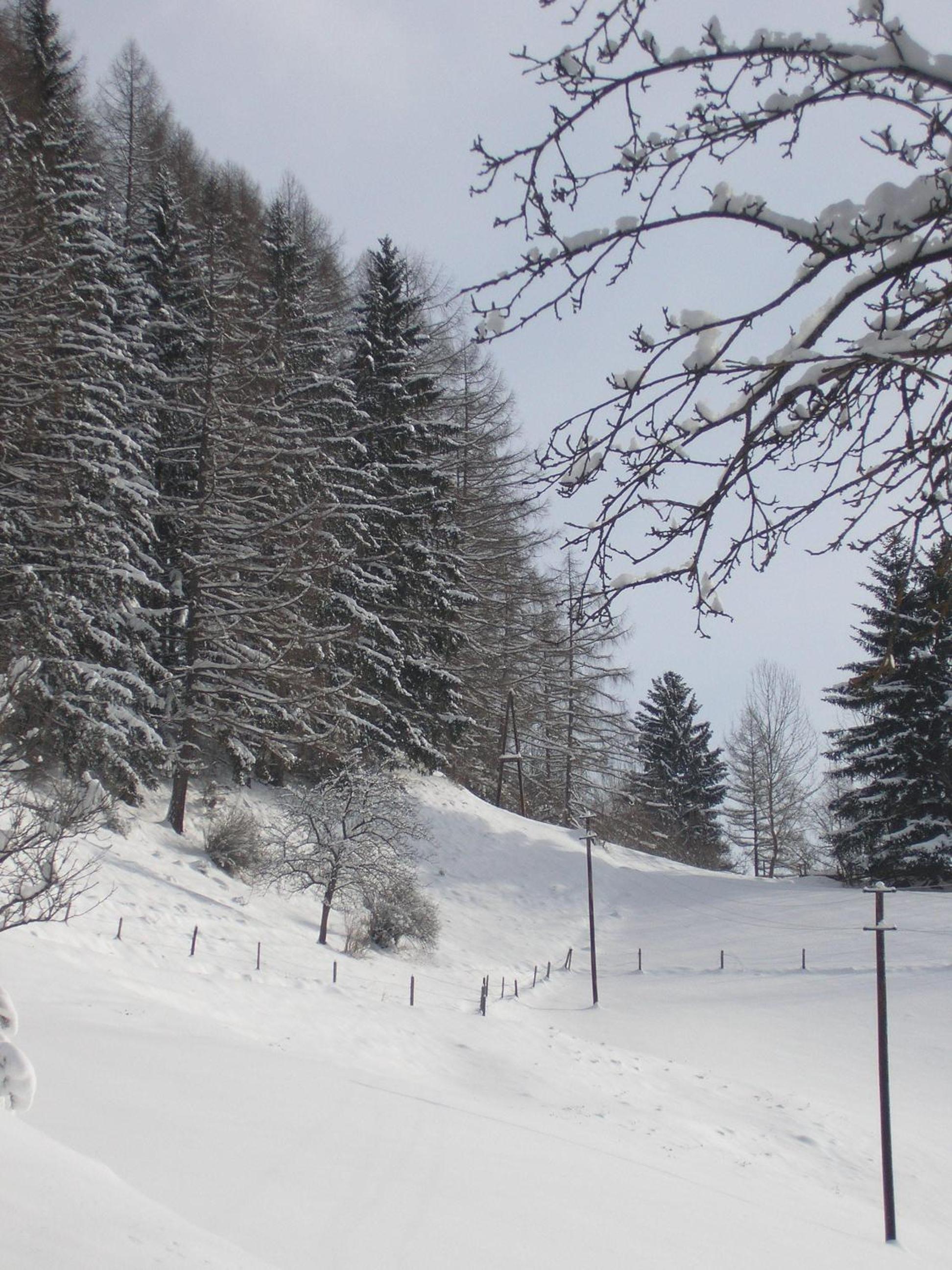 Gasthof Trattner Pension Waldhof