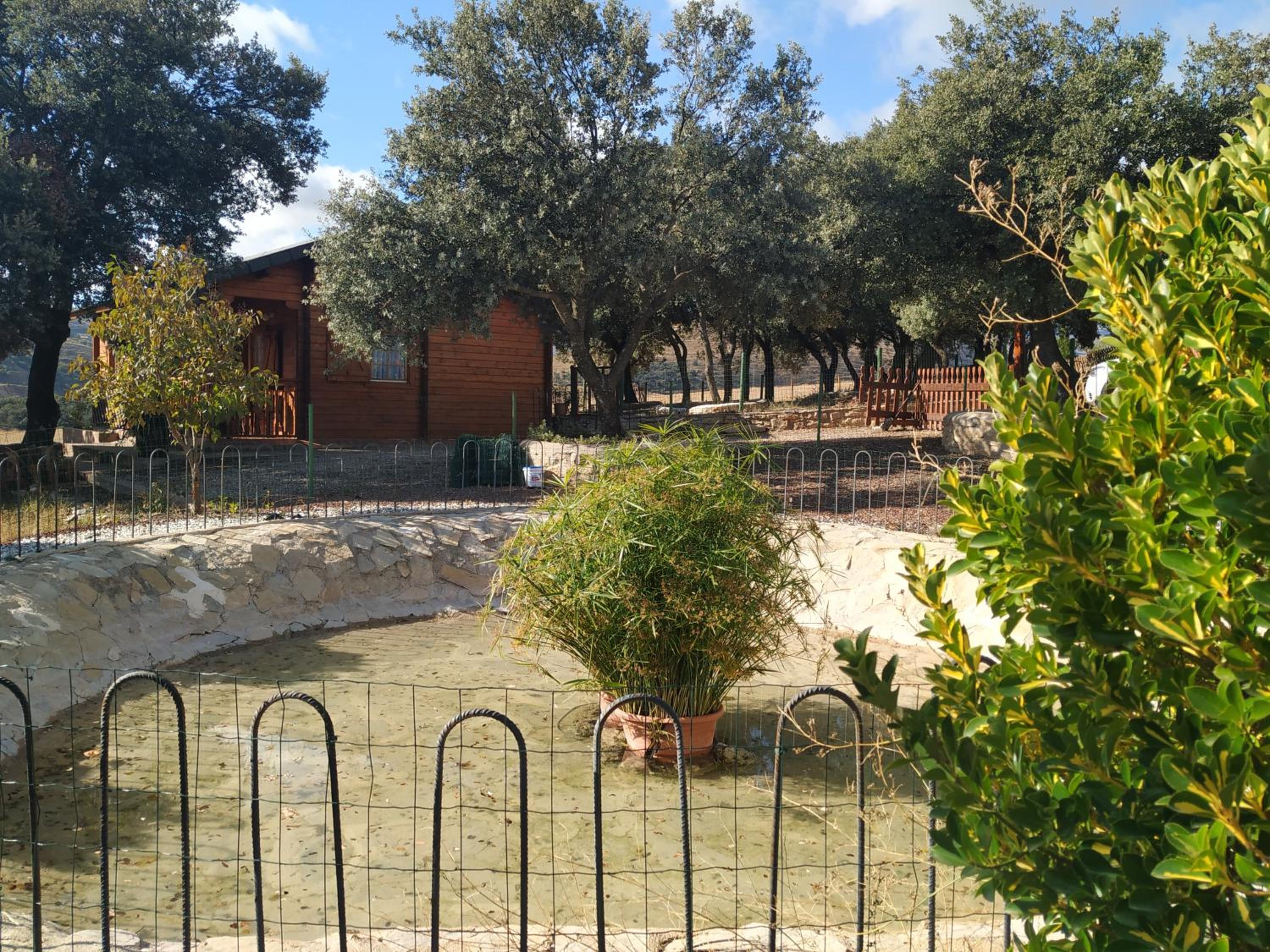La casa del estanque view 5