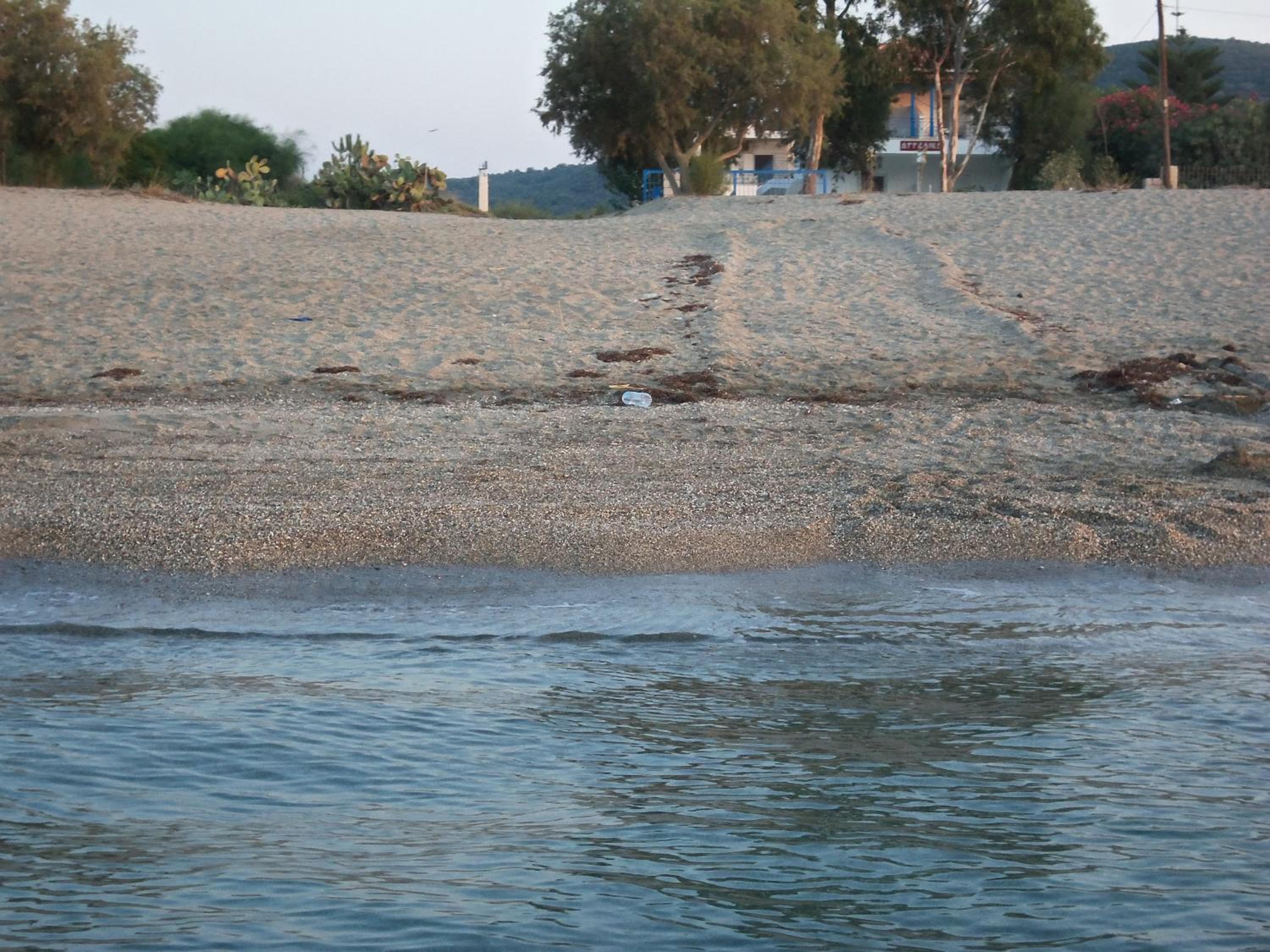 Photo 21