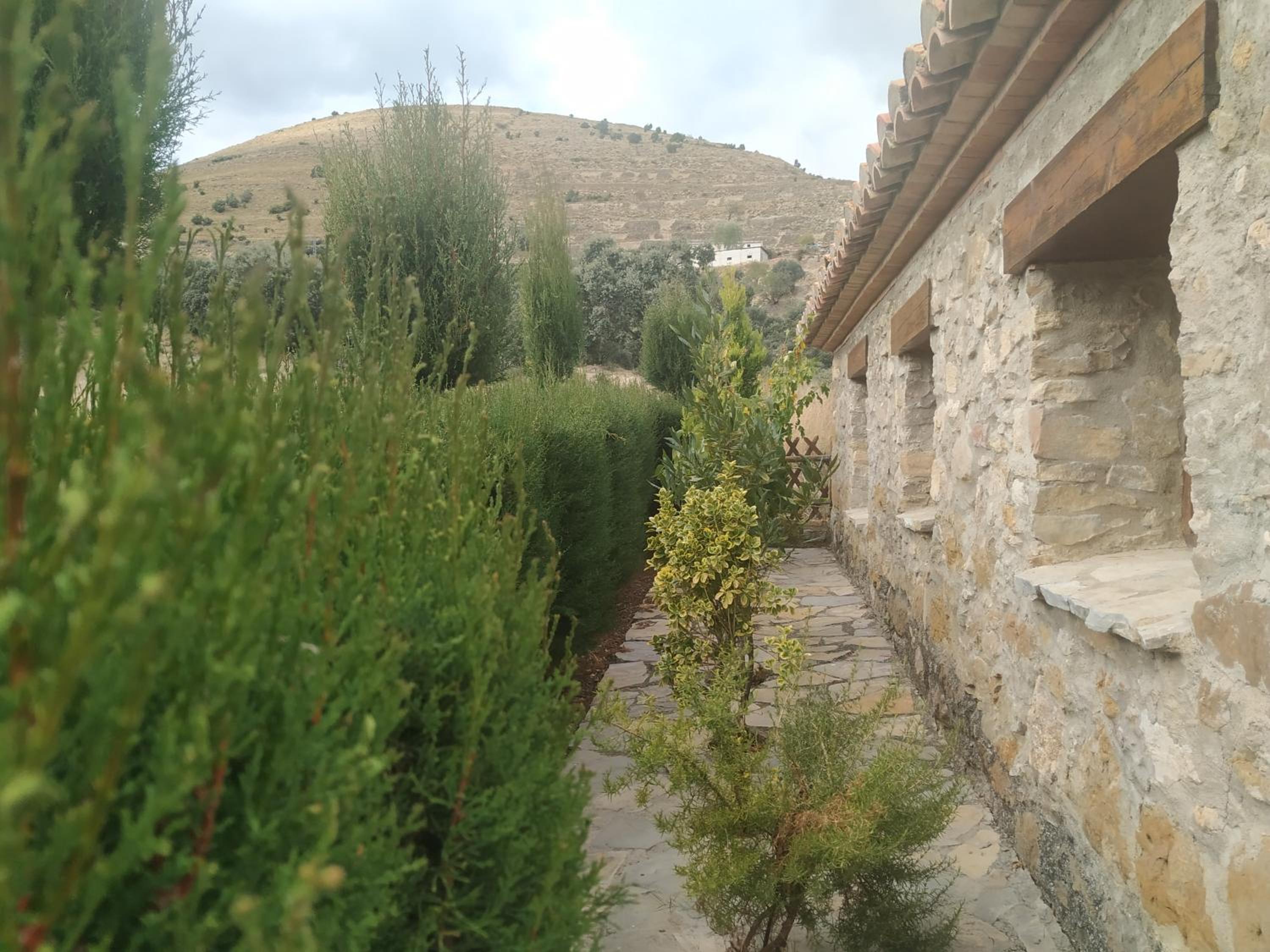 Photo 6