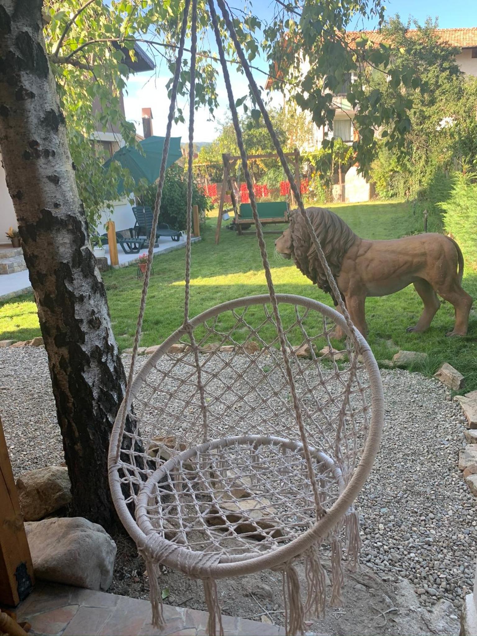 Photo 21