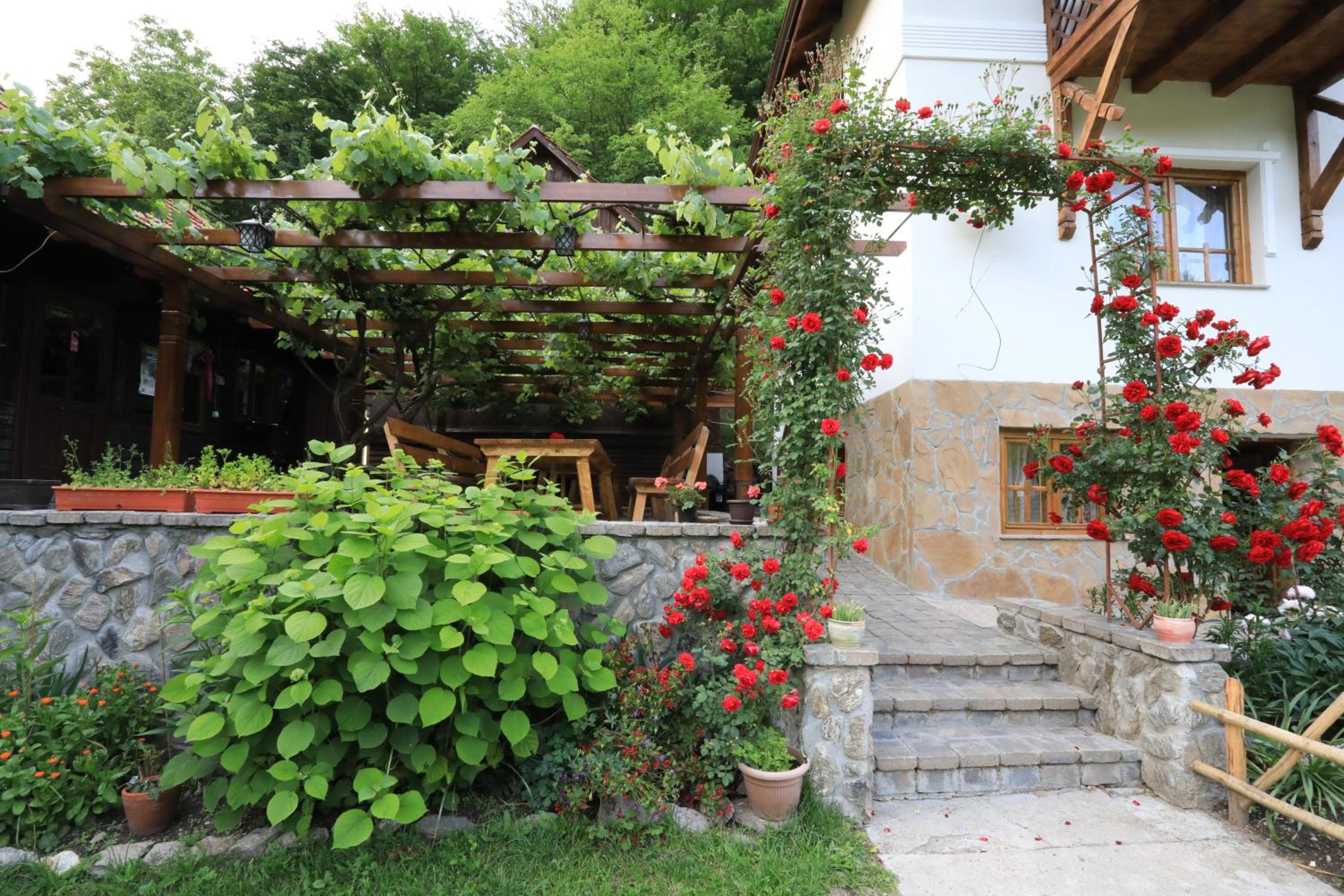 Pensiunea Dacica view 3