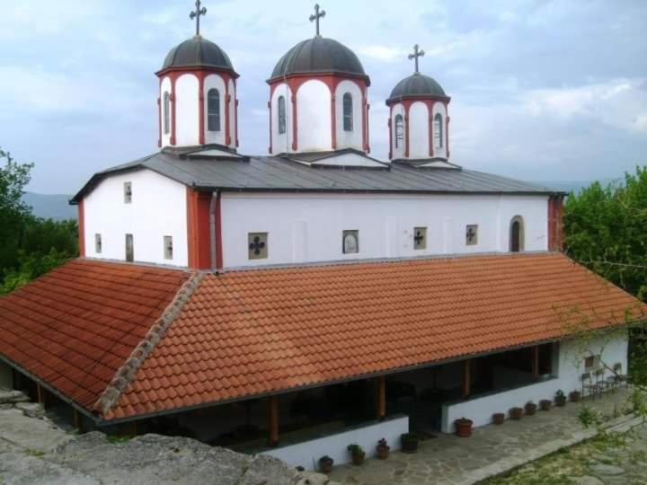 Photo 44