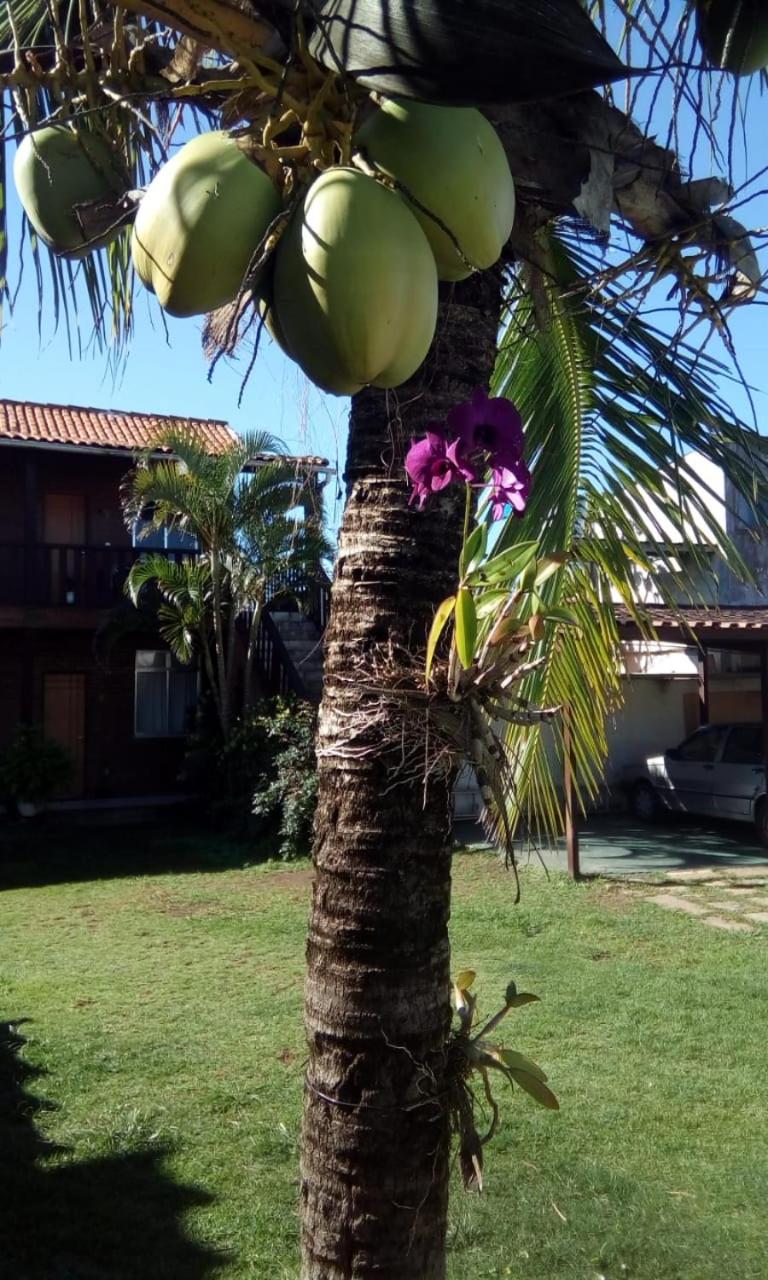 Pousada Céu de Tucuns