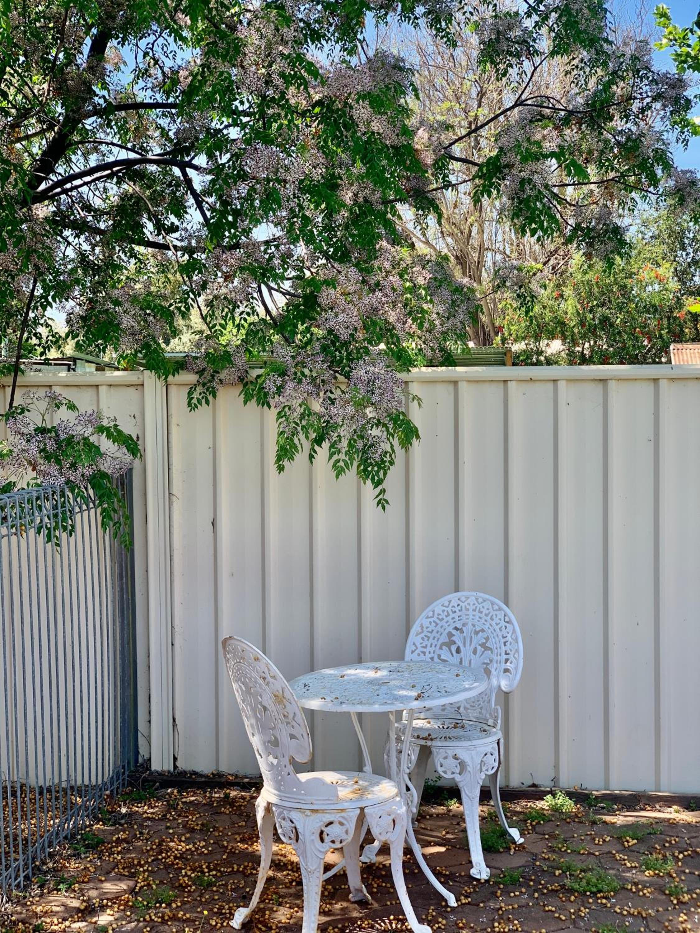 Gilgandra Motel