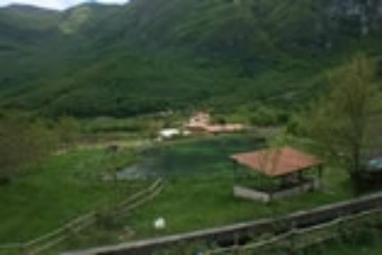 Photo 29
