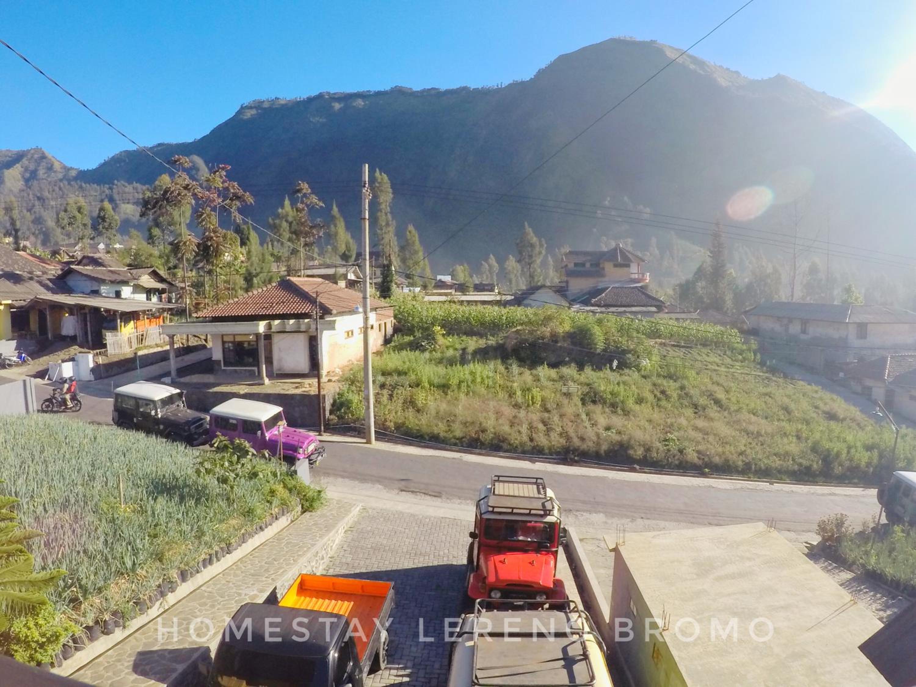 Homestay Lereng Bromo view 4