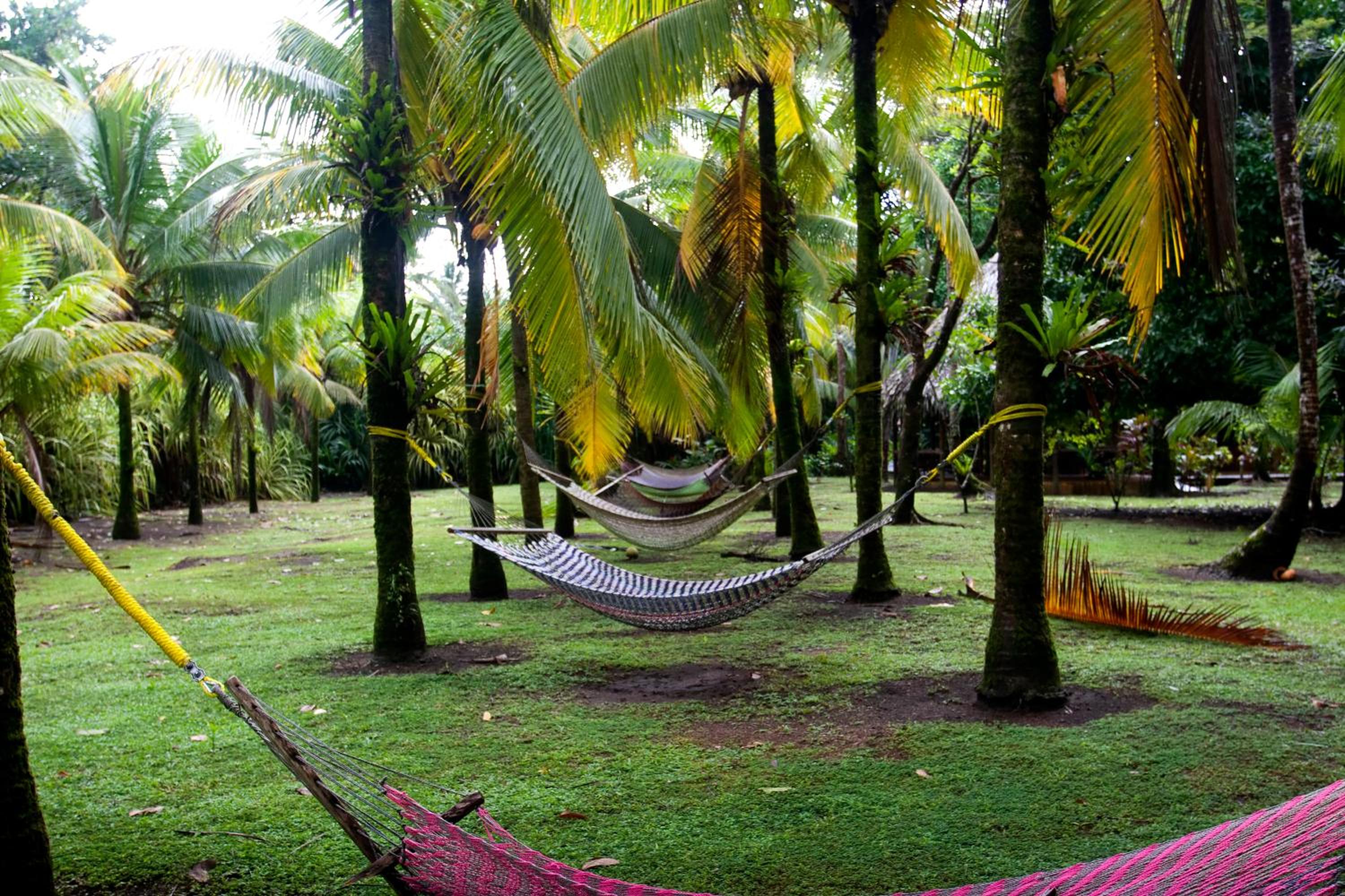 Turtle Beach Lodge