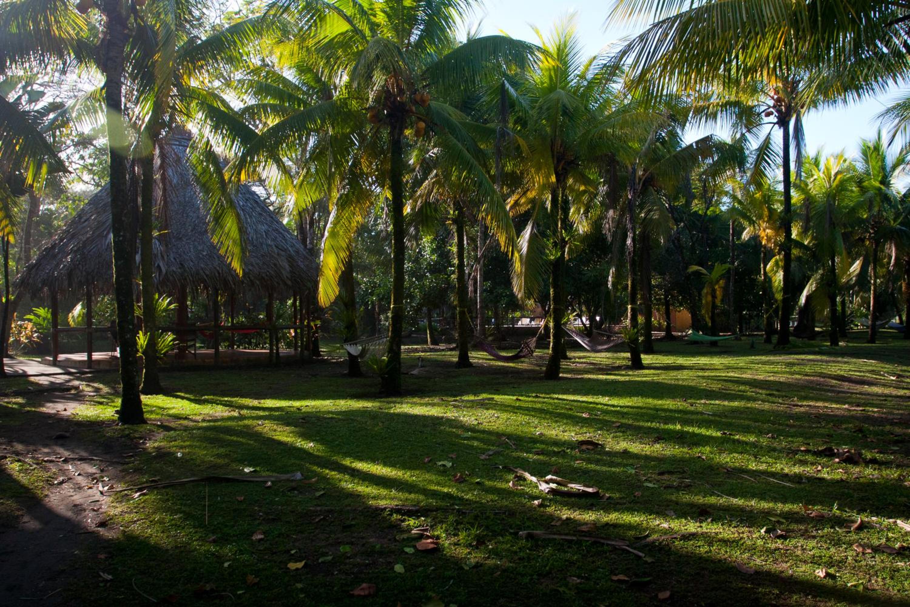 Turtle Beach Lodge