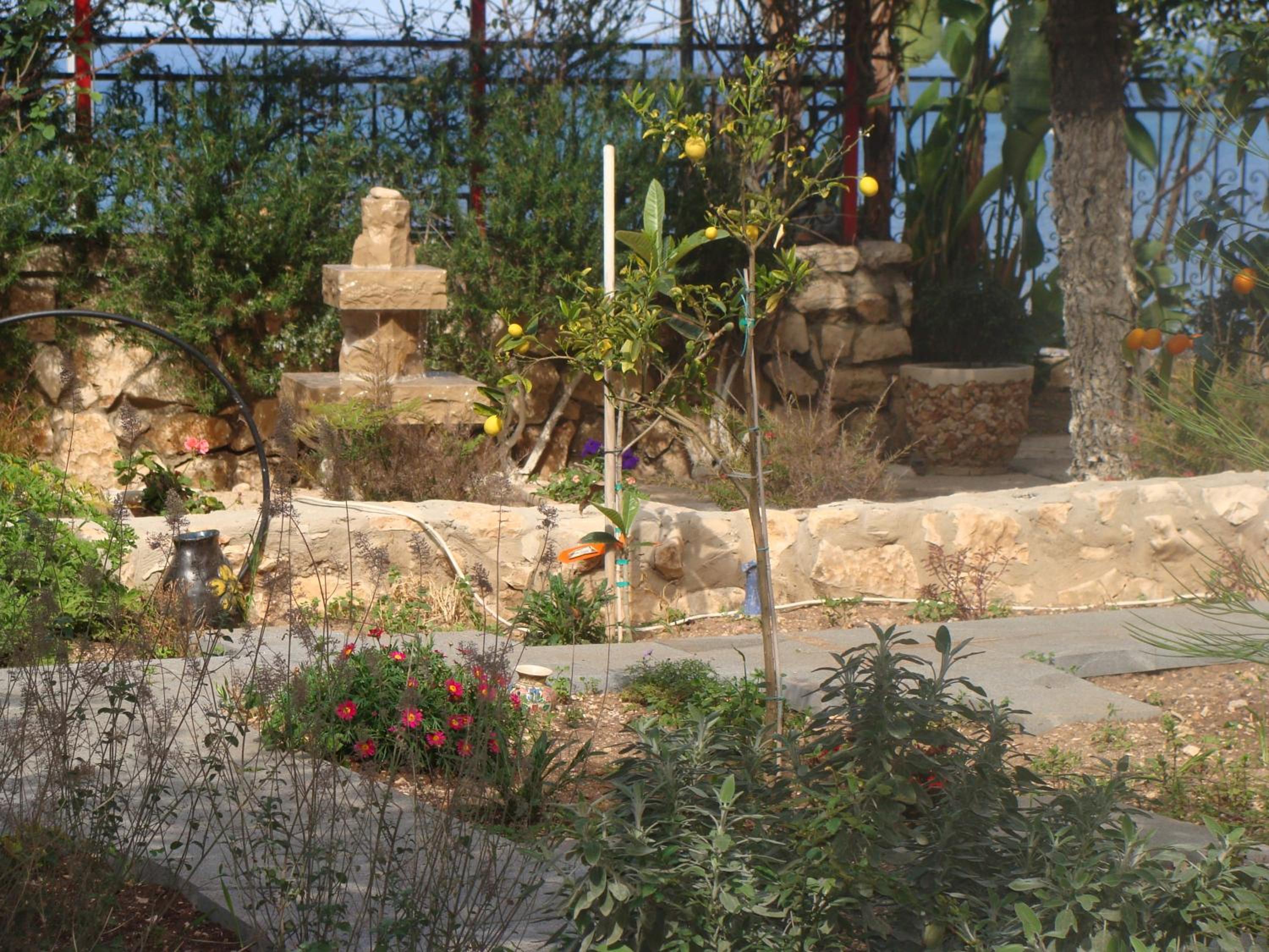 Tamer Guest house