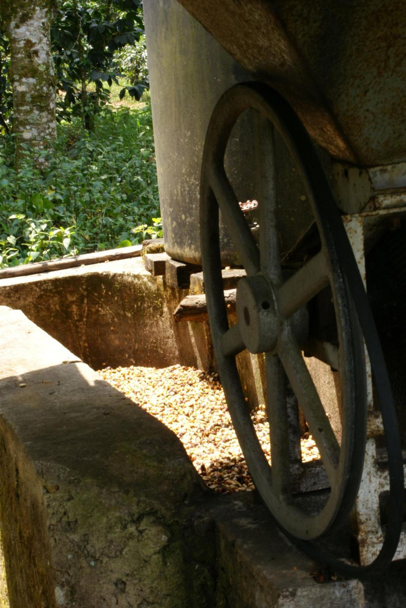 Photo 25