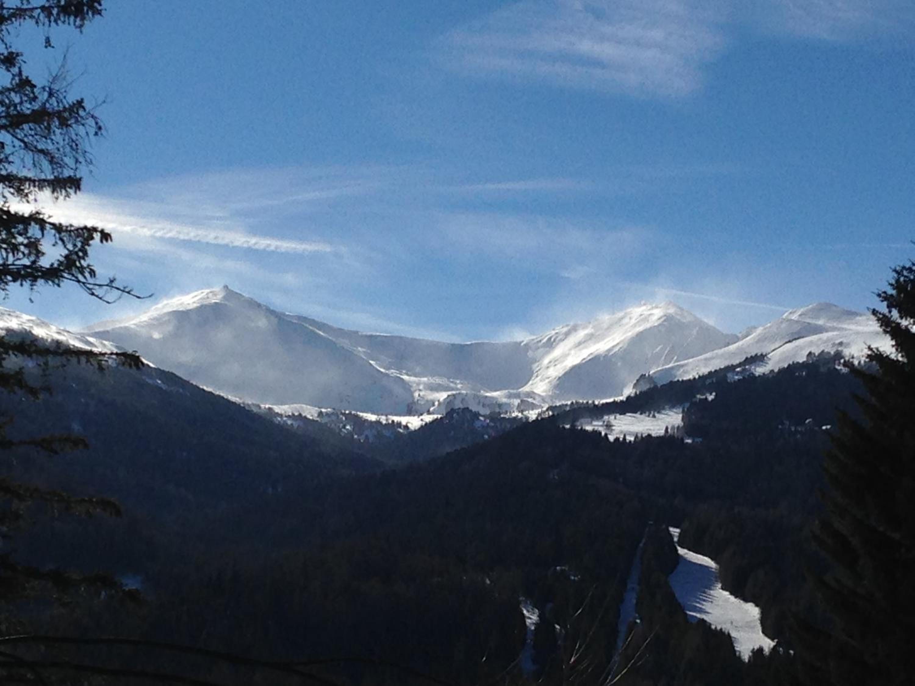 Urlaub im Zirbenland