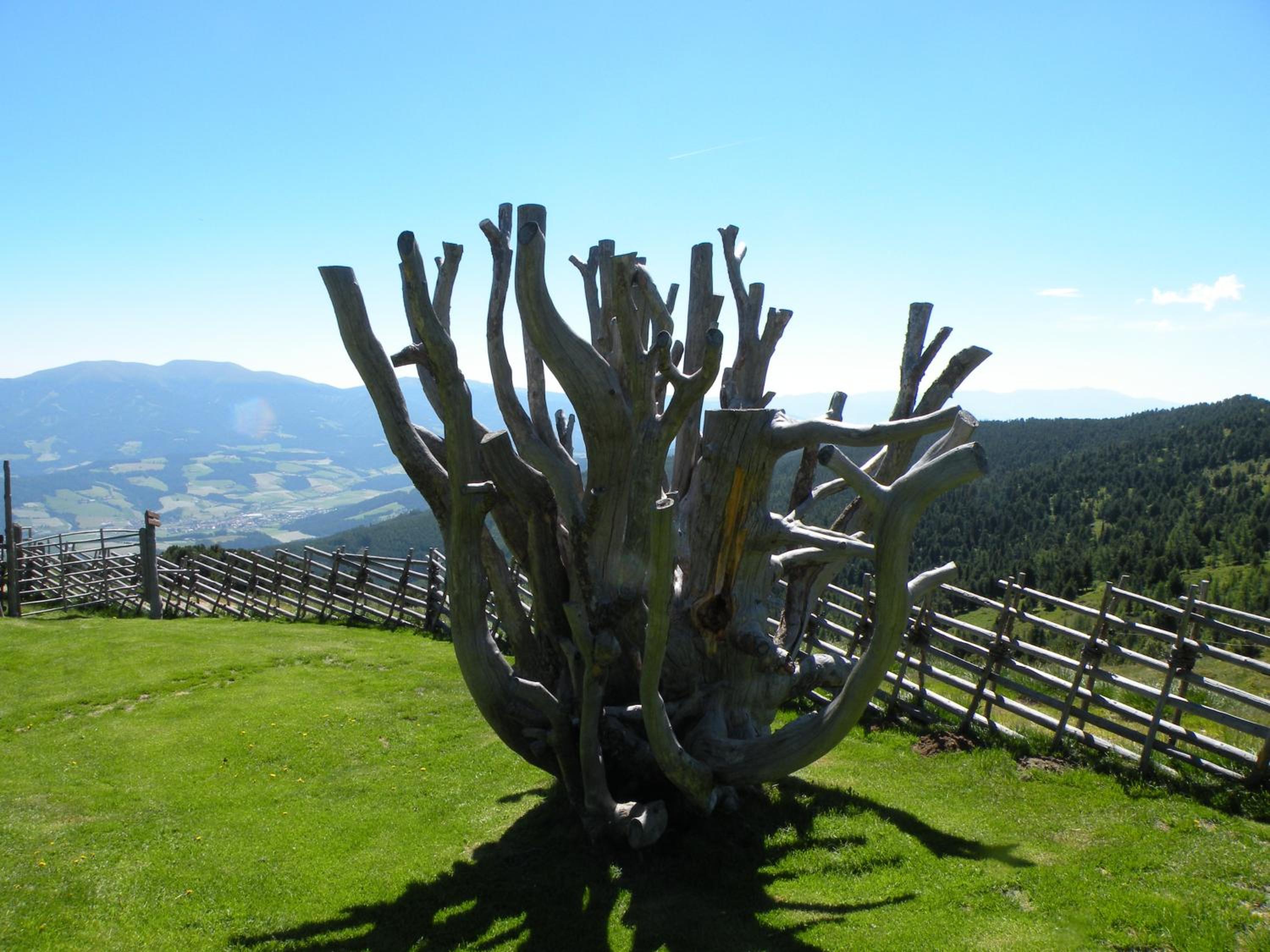 Urlaub im Zirbenland