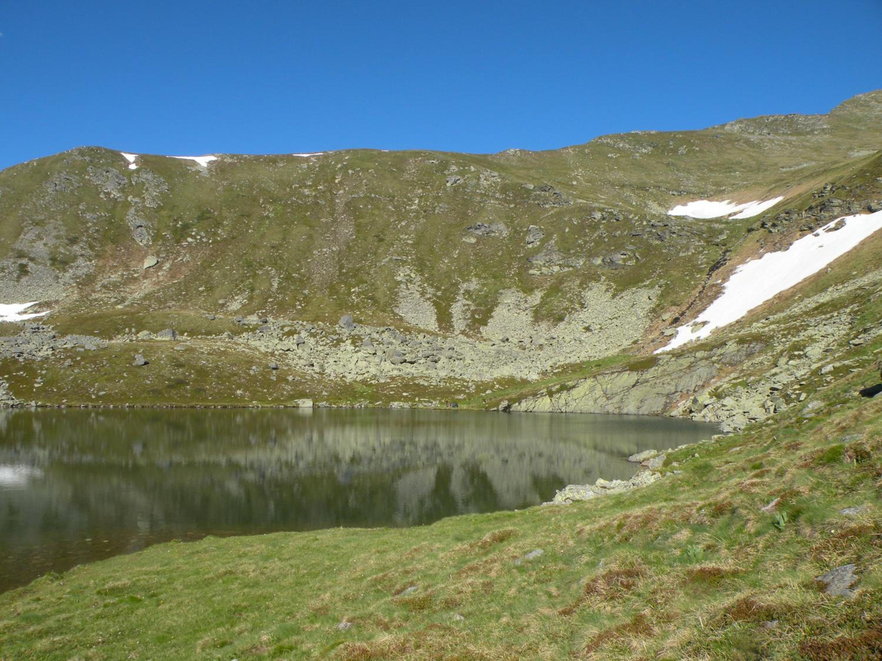 Urlaub im Zirbenland