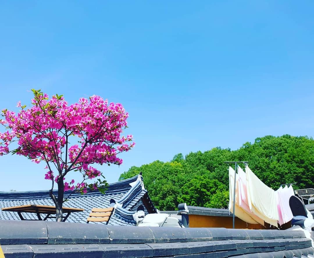 Hanok Dream