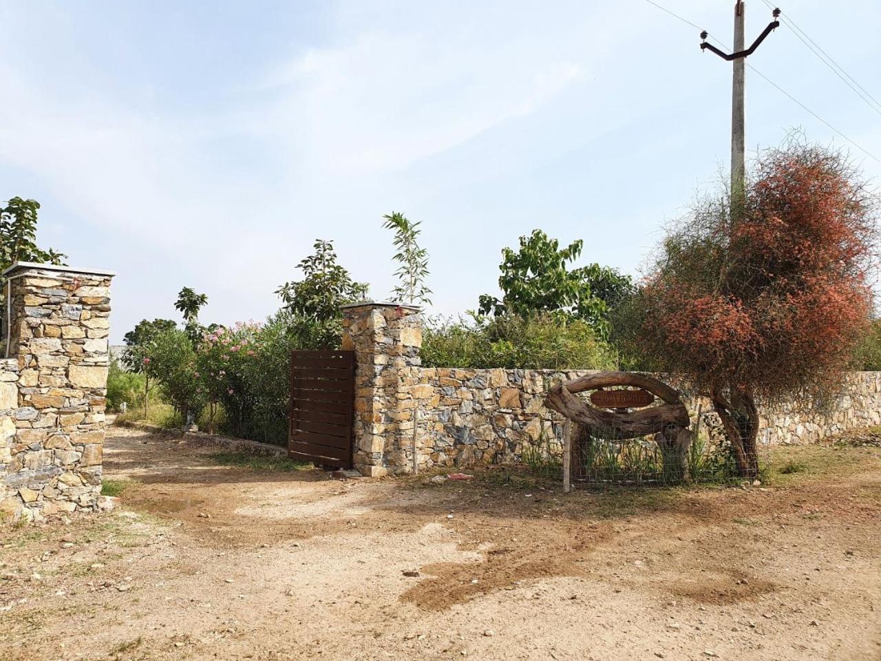 Bijapur Lodge Jawai
