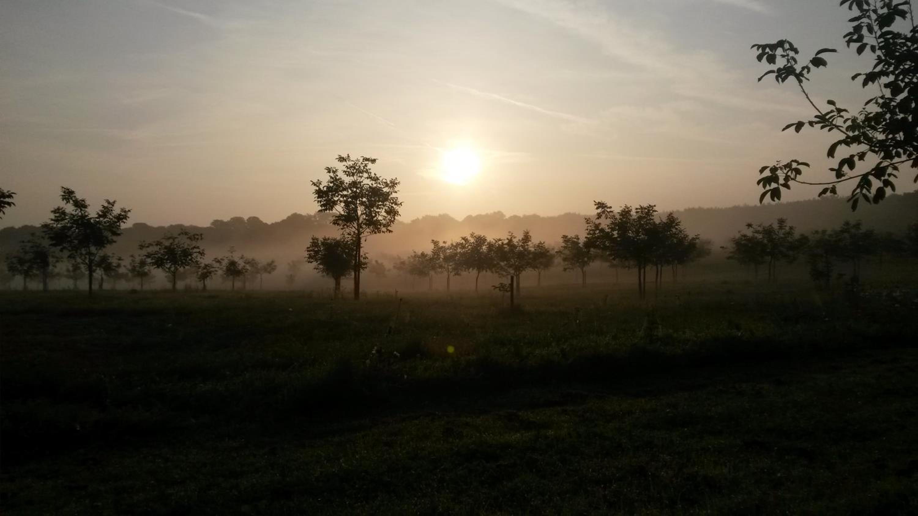Domaine de La Noiseraie