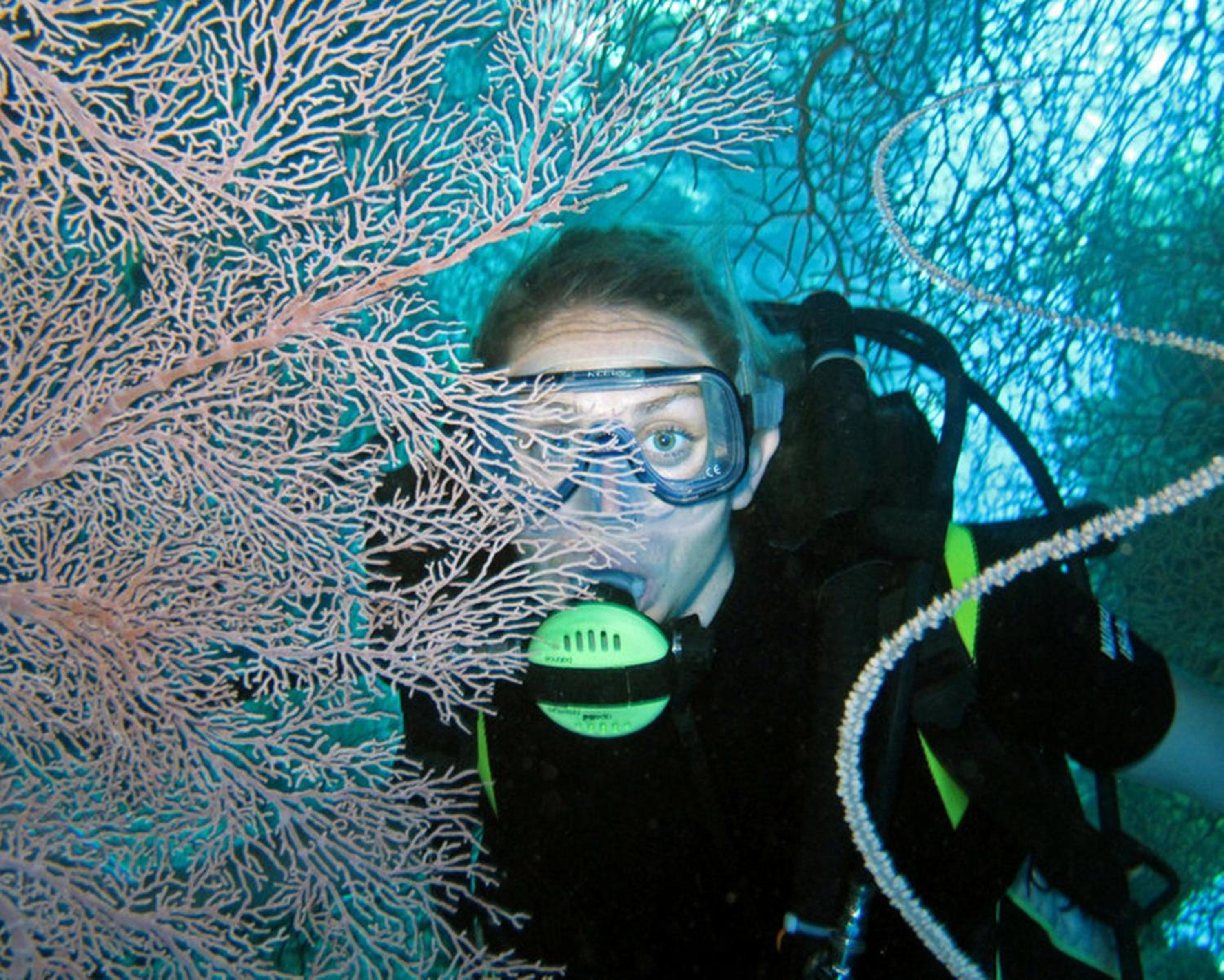 Nukubati Great Sea Reef - view 5