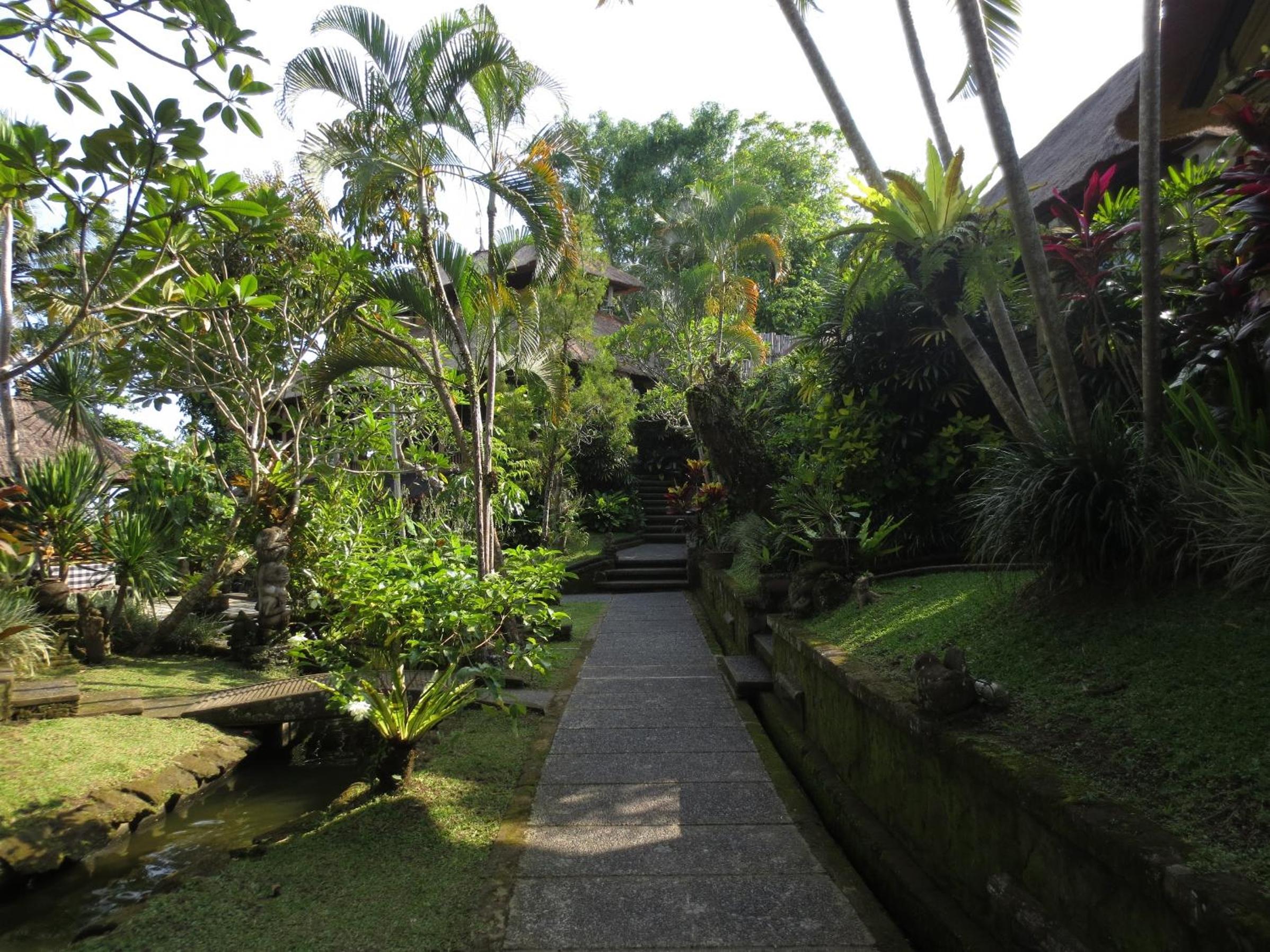 Photo 22