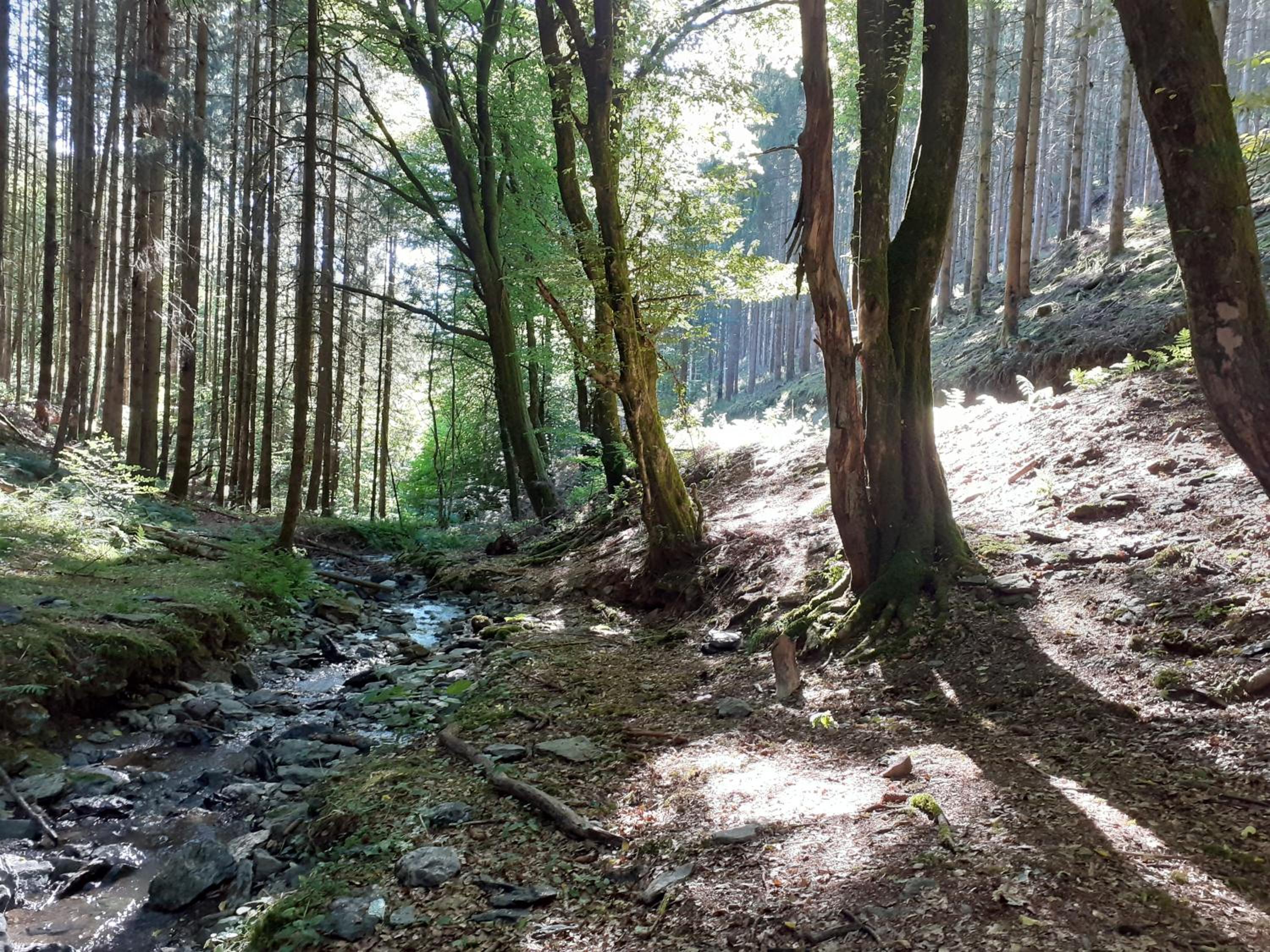 Le Refuge d'Engreux