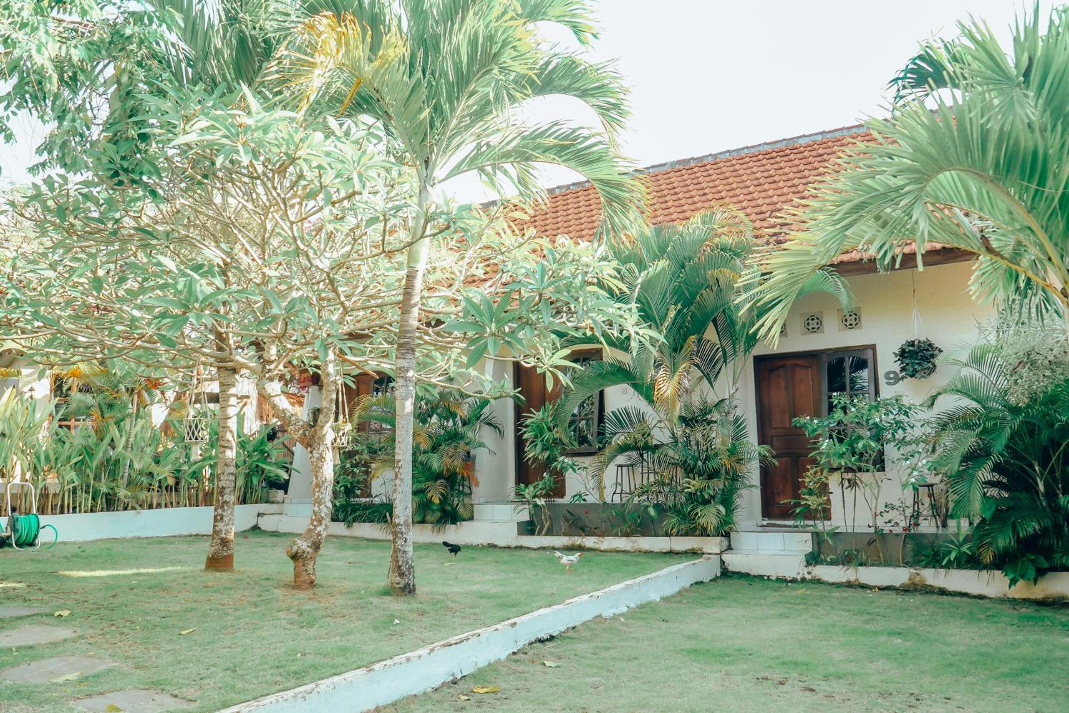 Photo 8