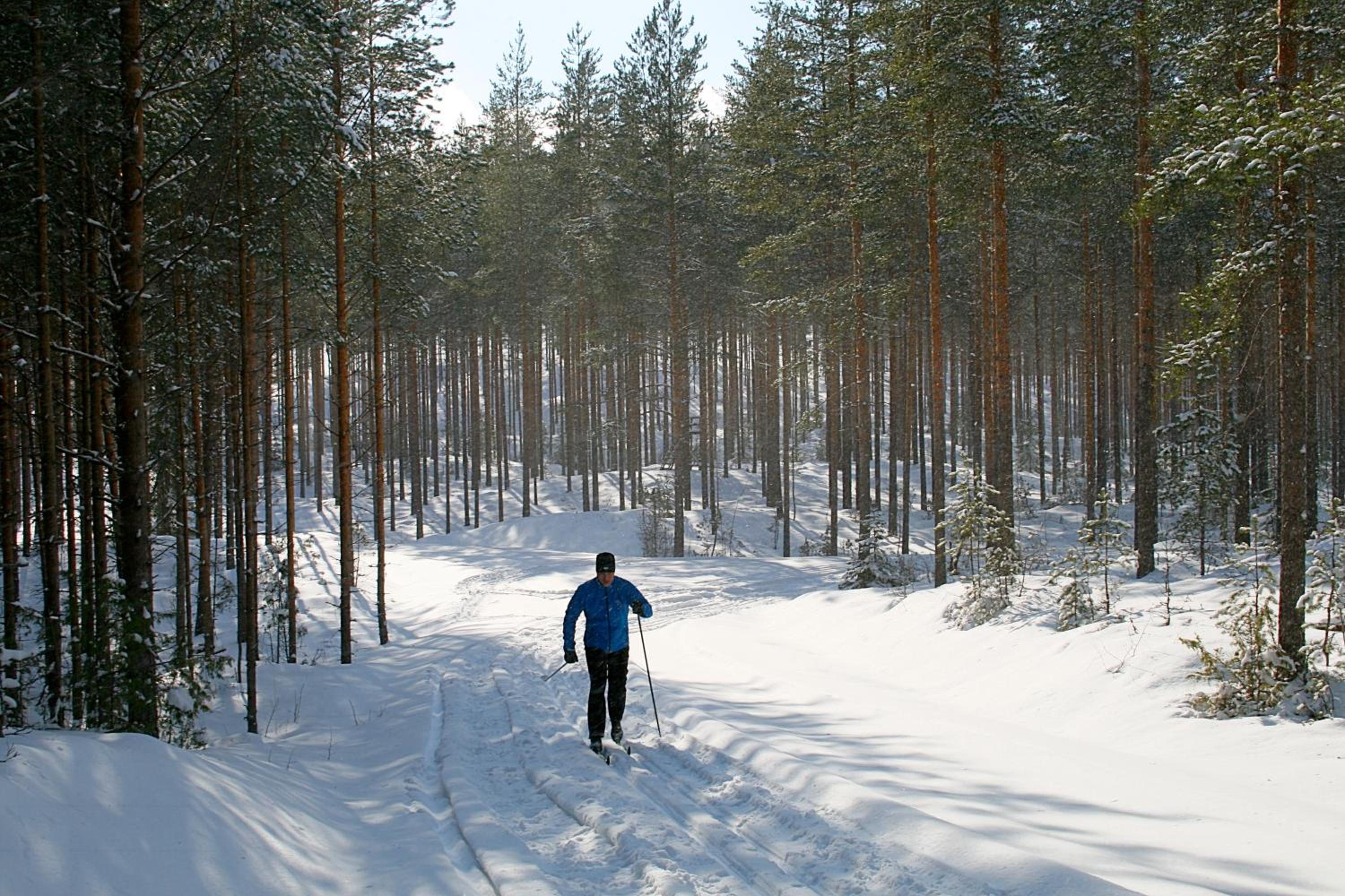 Photo 25