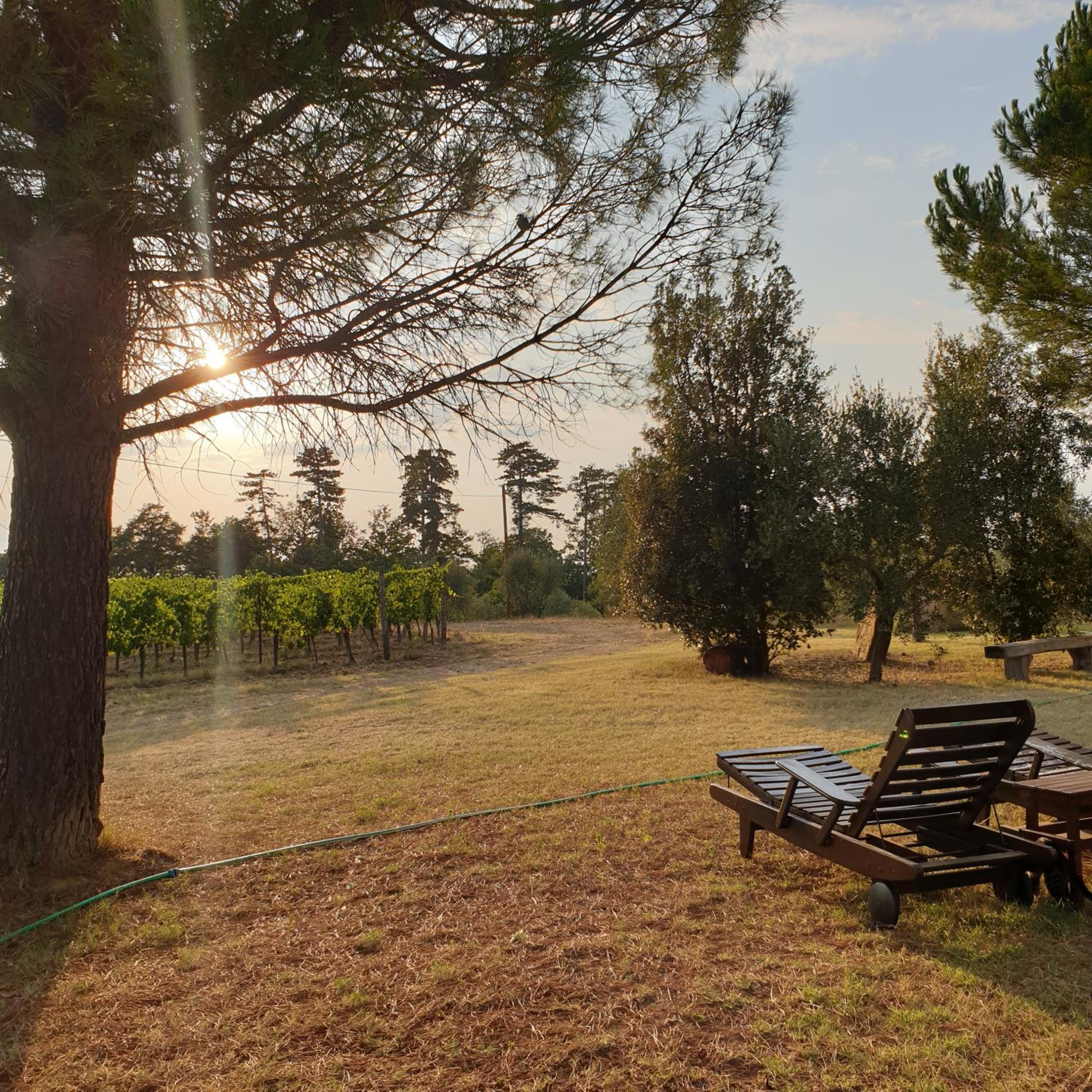 Villa Chiccheio Rooms view 4