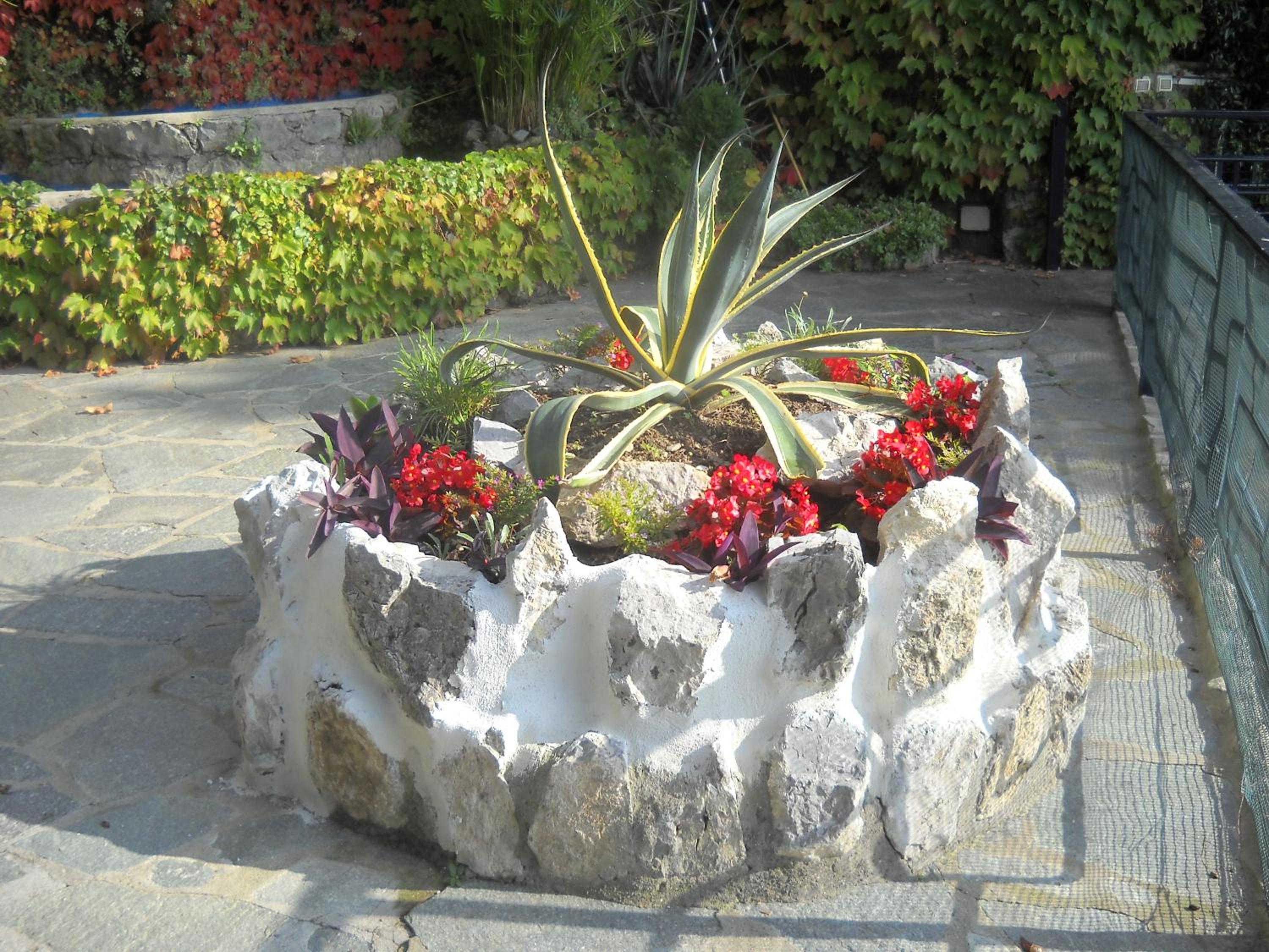 Photo 31