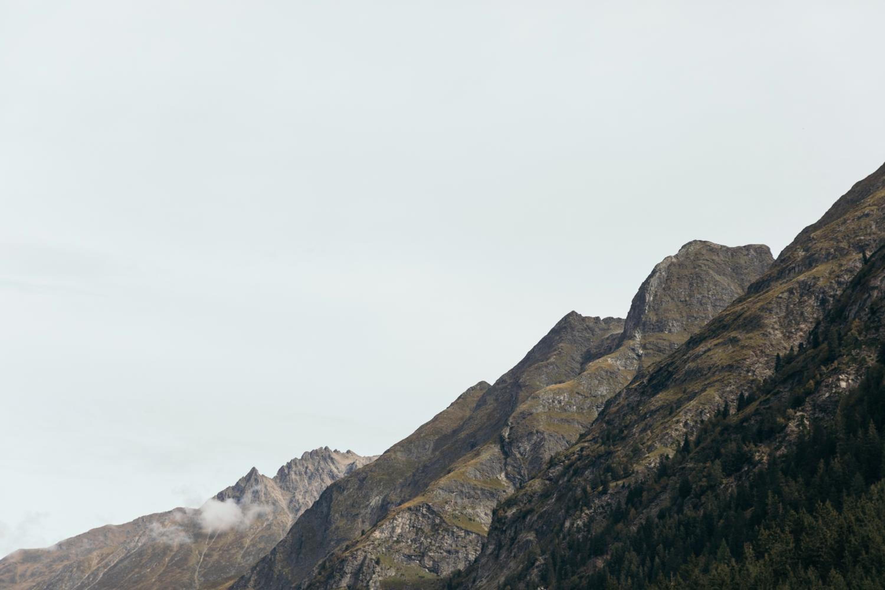 Ferienhaus Alpen Lodge und die Gams