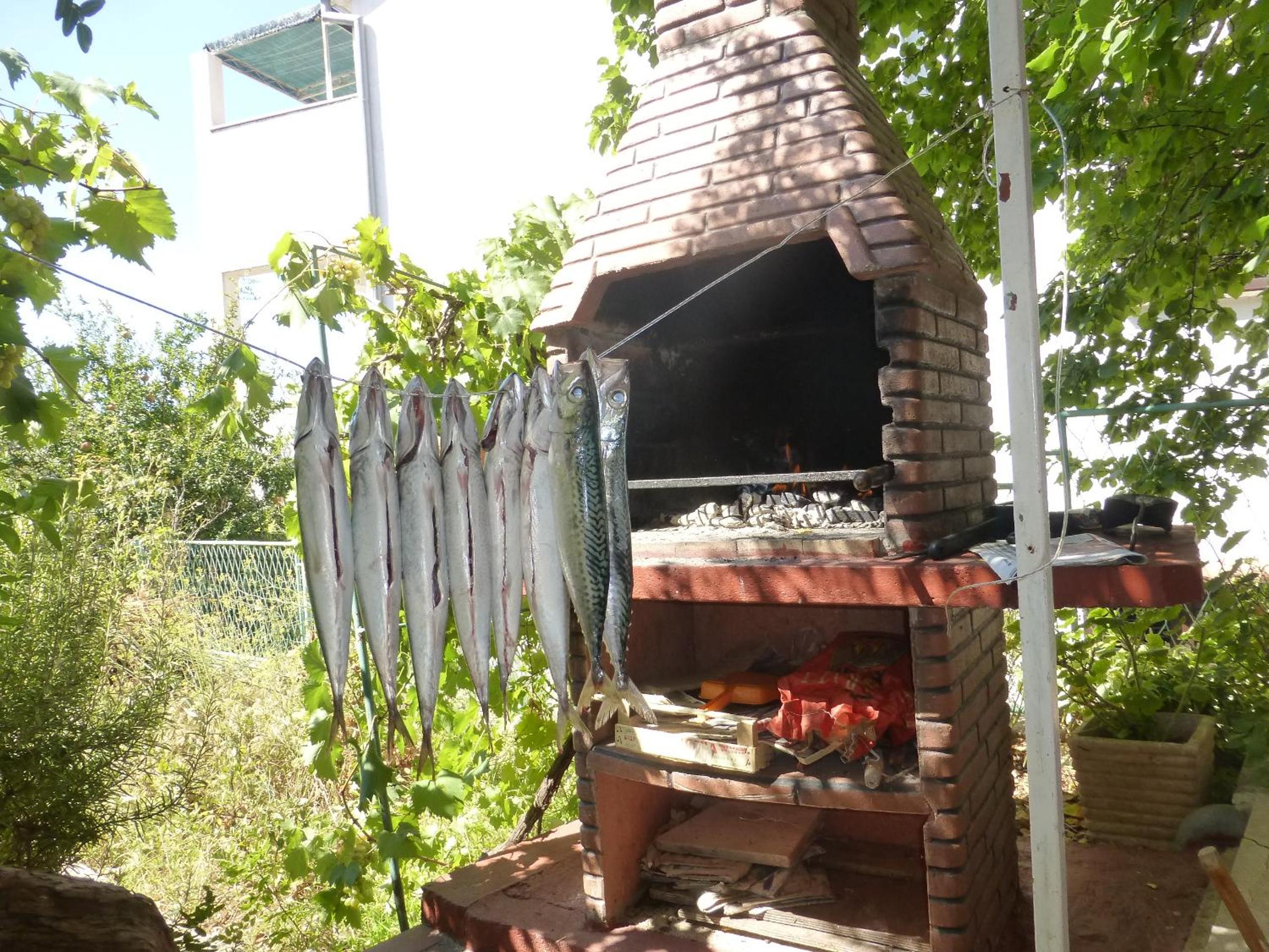 Photo 22