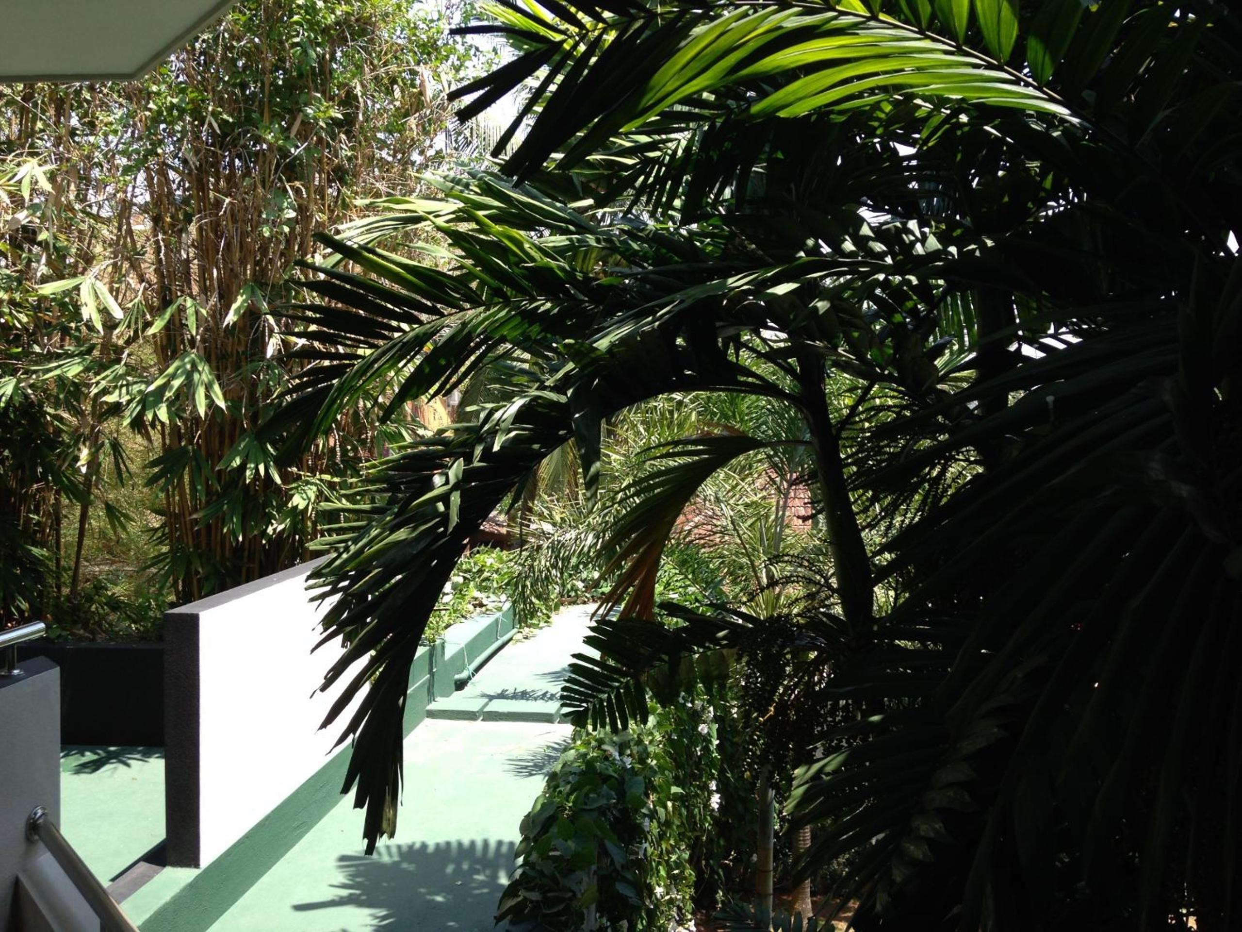 Silvikris Villa, photo 26
