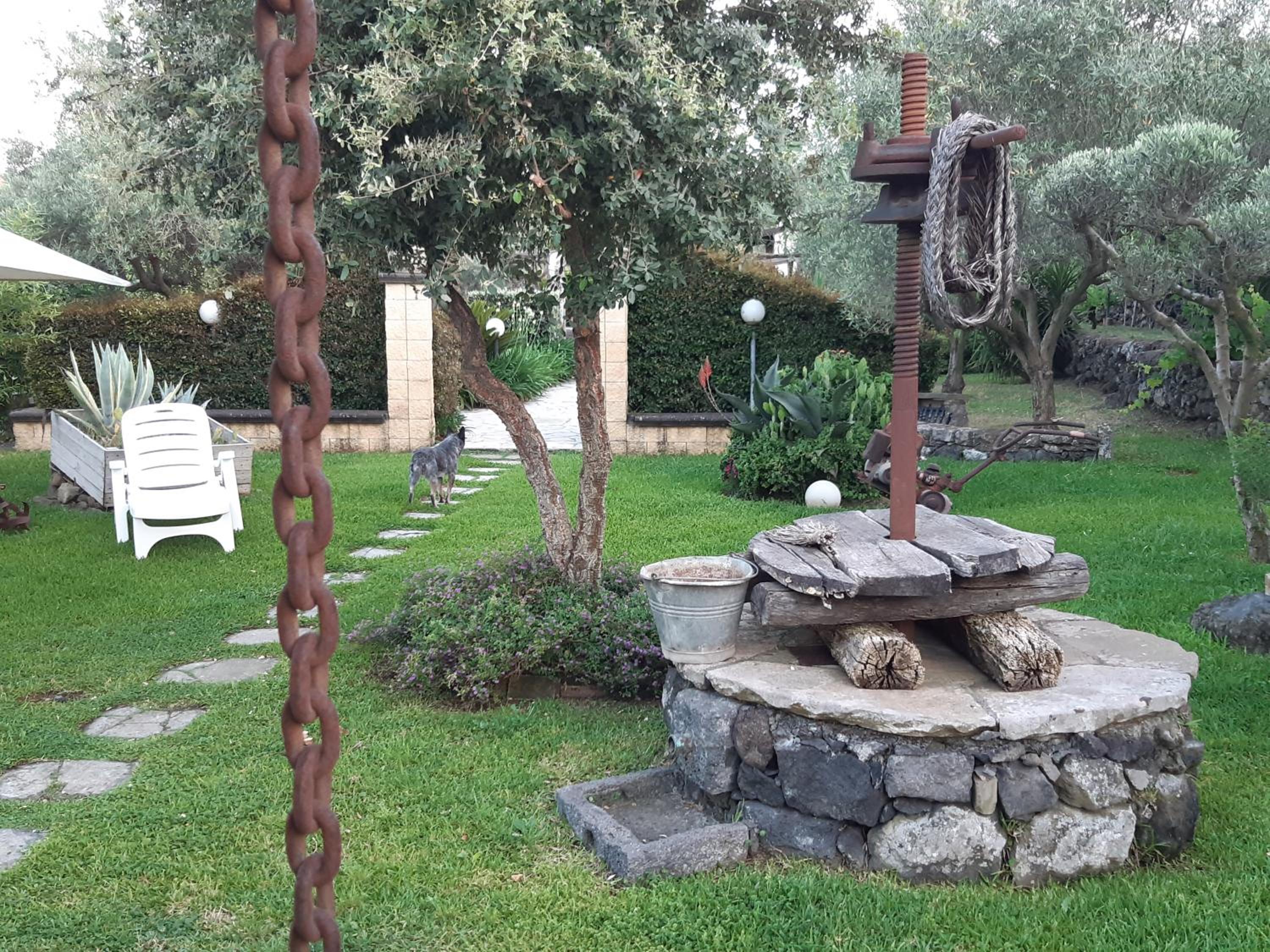 Photo 27